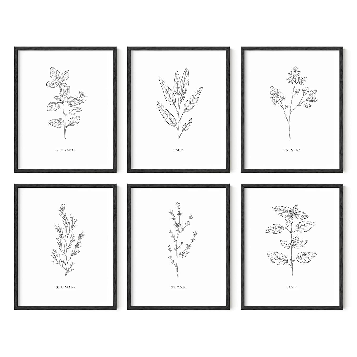 HAUS AND HUES Kitchen Herbs Wall Art Decor for Kitchen Herb Art Prints and Kitchen Signs Wall Decor | Herb Prints Kitchen Wall Art Kitchen Posters for Wall Herb Decor (8"X10" Unframed)