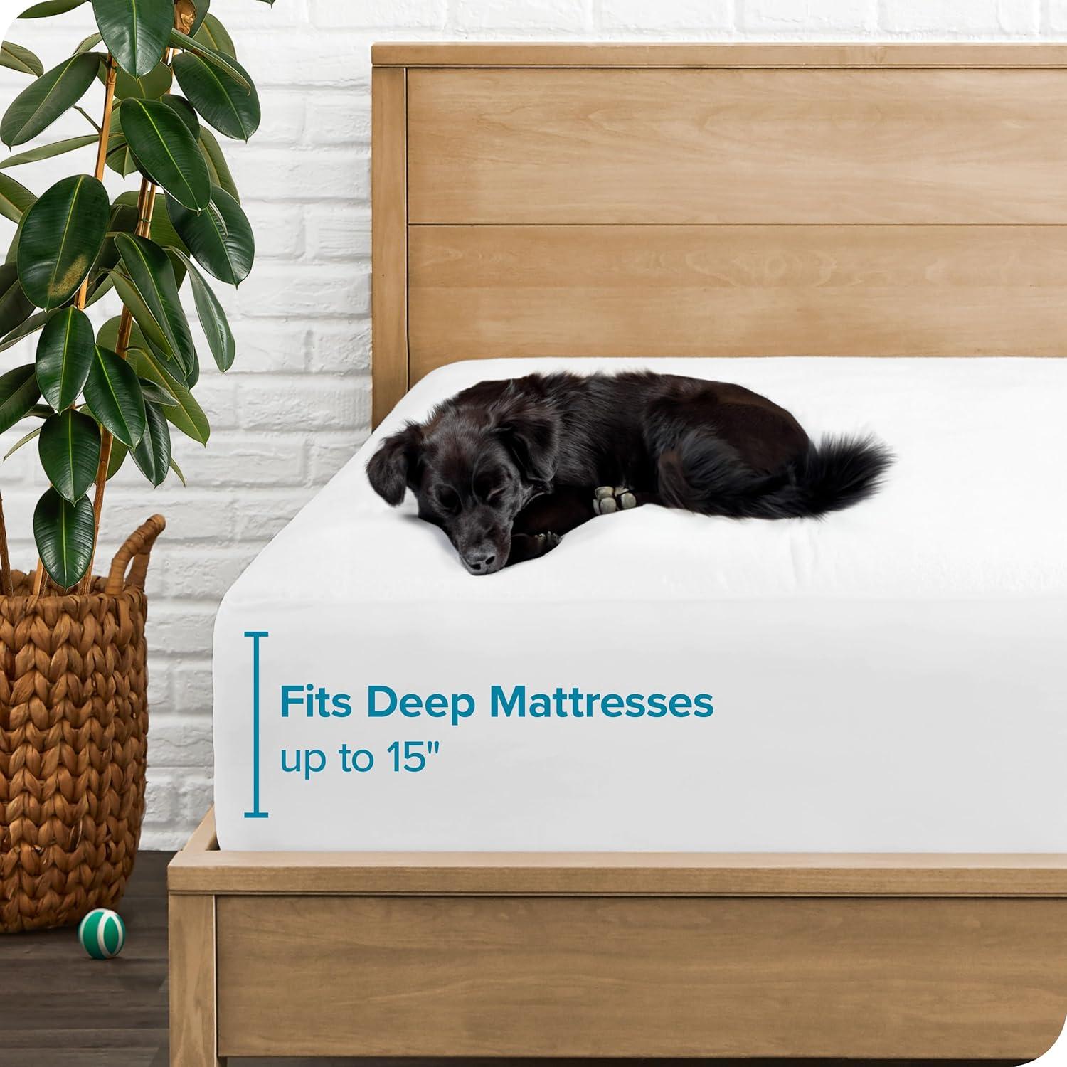 Bare Home Premium Ultra Soft Waterproof Fitted Mattress Protector