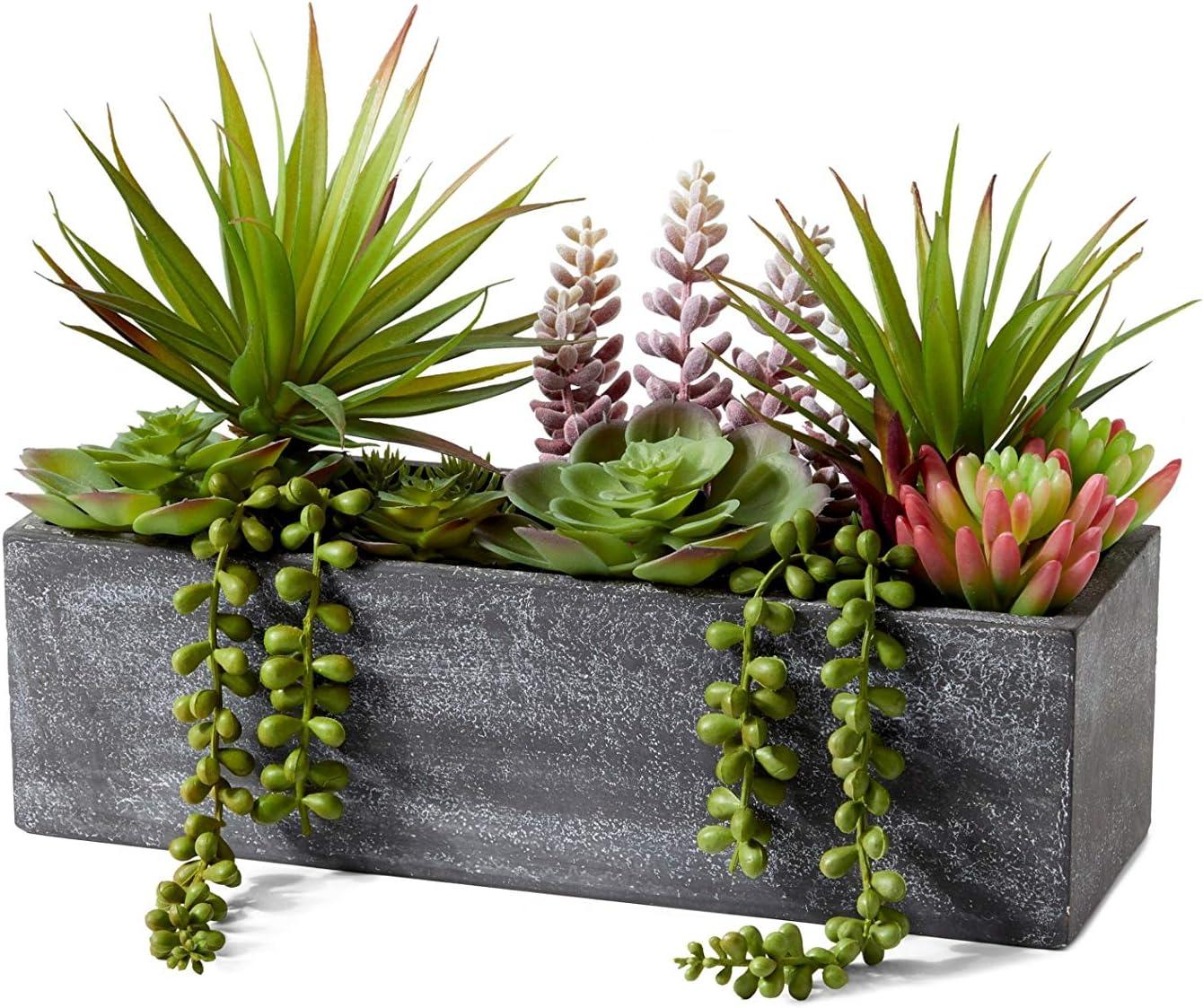 Serene Spaces Living Mixed Succulents in Rectangular Planter, Perfect for Weddings and Home Décor, Real Looking Succulent for Decoration, Sold Individually, Measures 12in Long x 4.5in Wide x 9in Tall