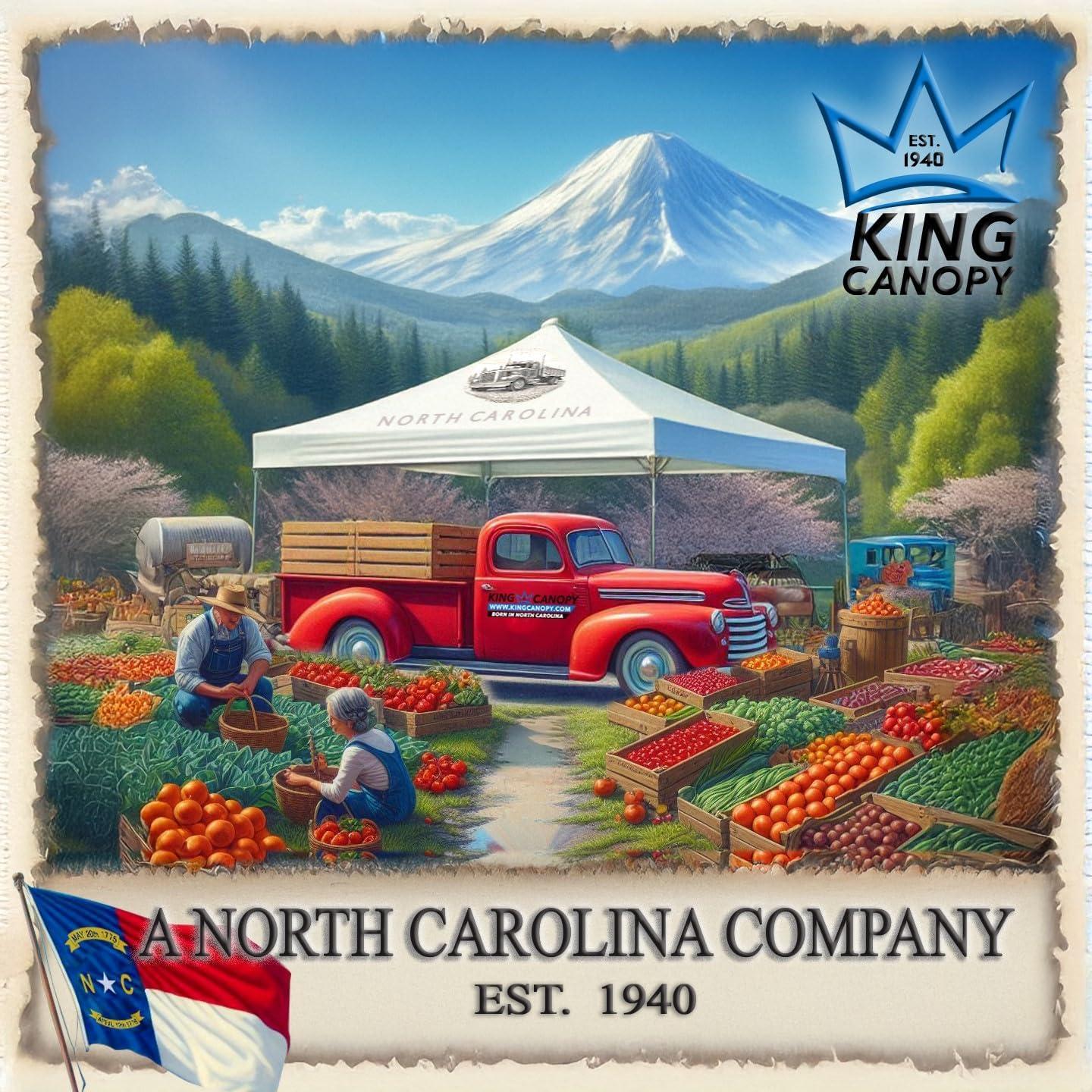 King Canopy Hercules 18ft x 27ft, 2-Inch Hammertone Steel Frame w/ buttons, 10-Leg Carport