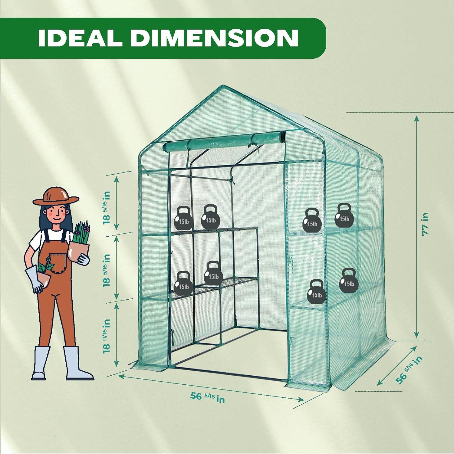 Green Walk-In Greenhouse with PE Cover and Steel Frame