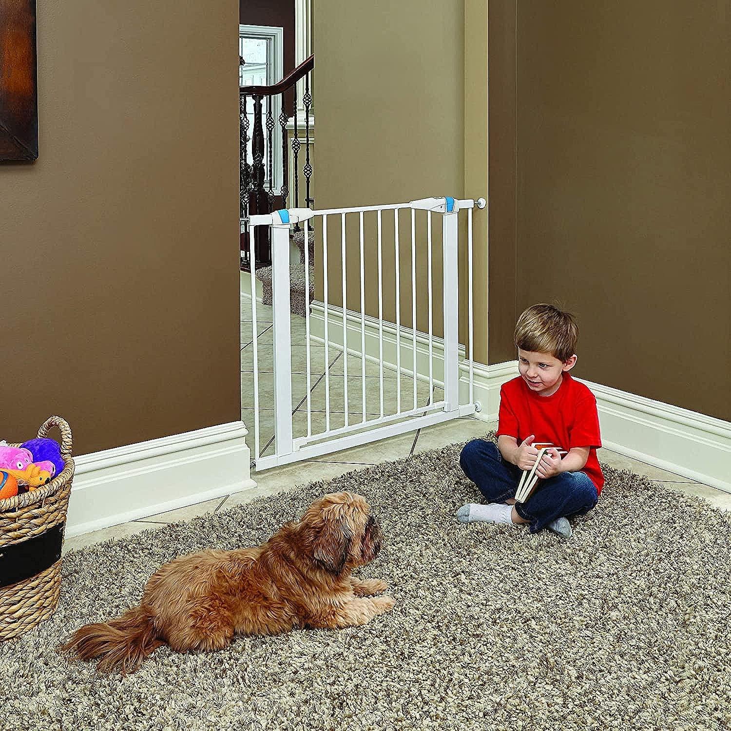 MidWest Homes for Pets Gate/ Walk-thru Steel Pet Gate & Reviews | Wayfair
