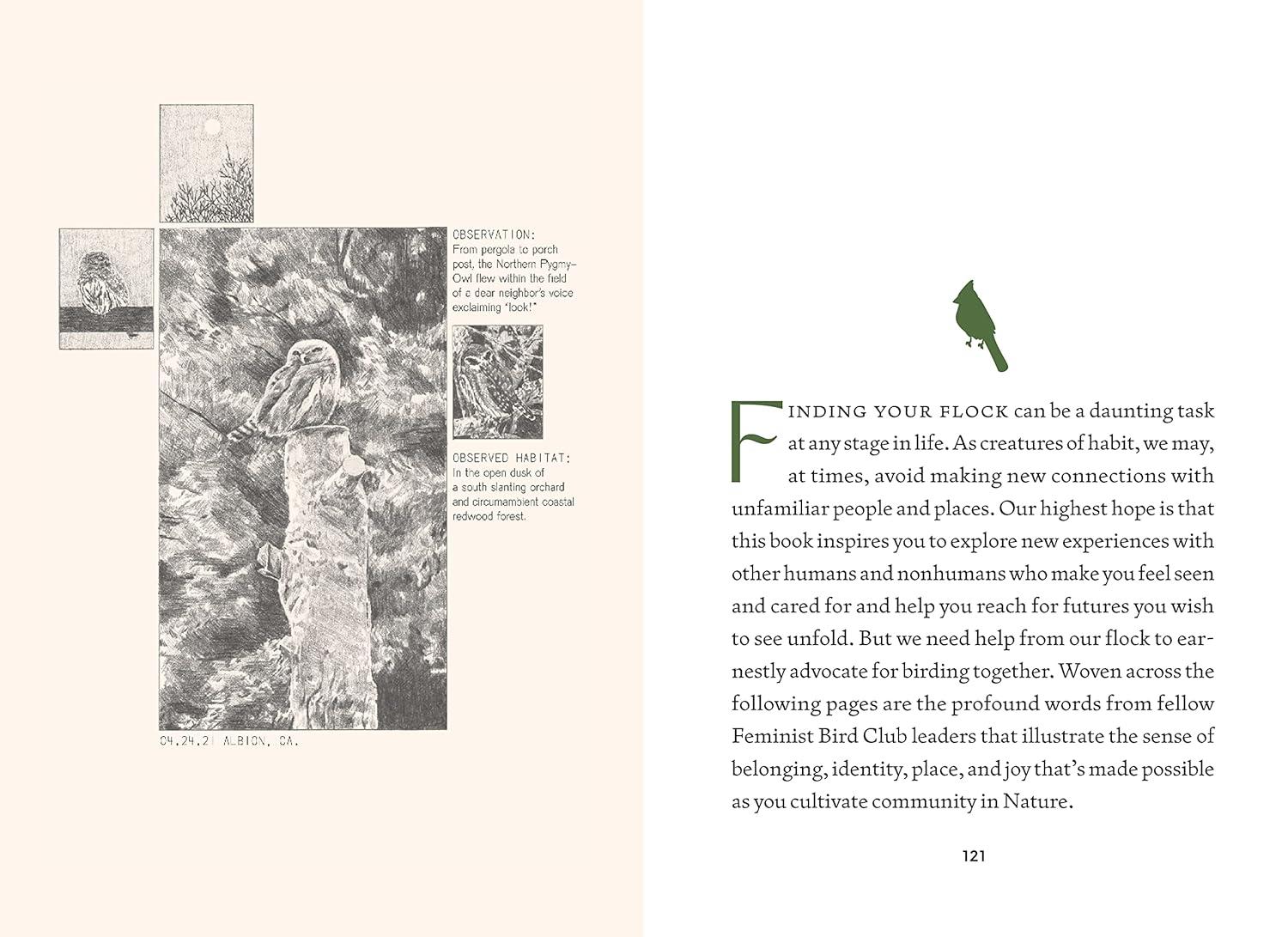 Birding for a Better World: Inclusive Nature Guide