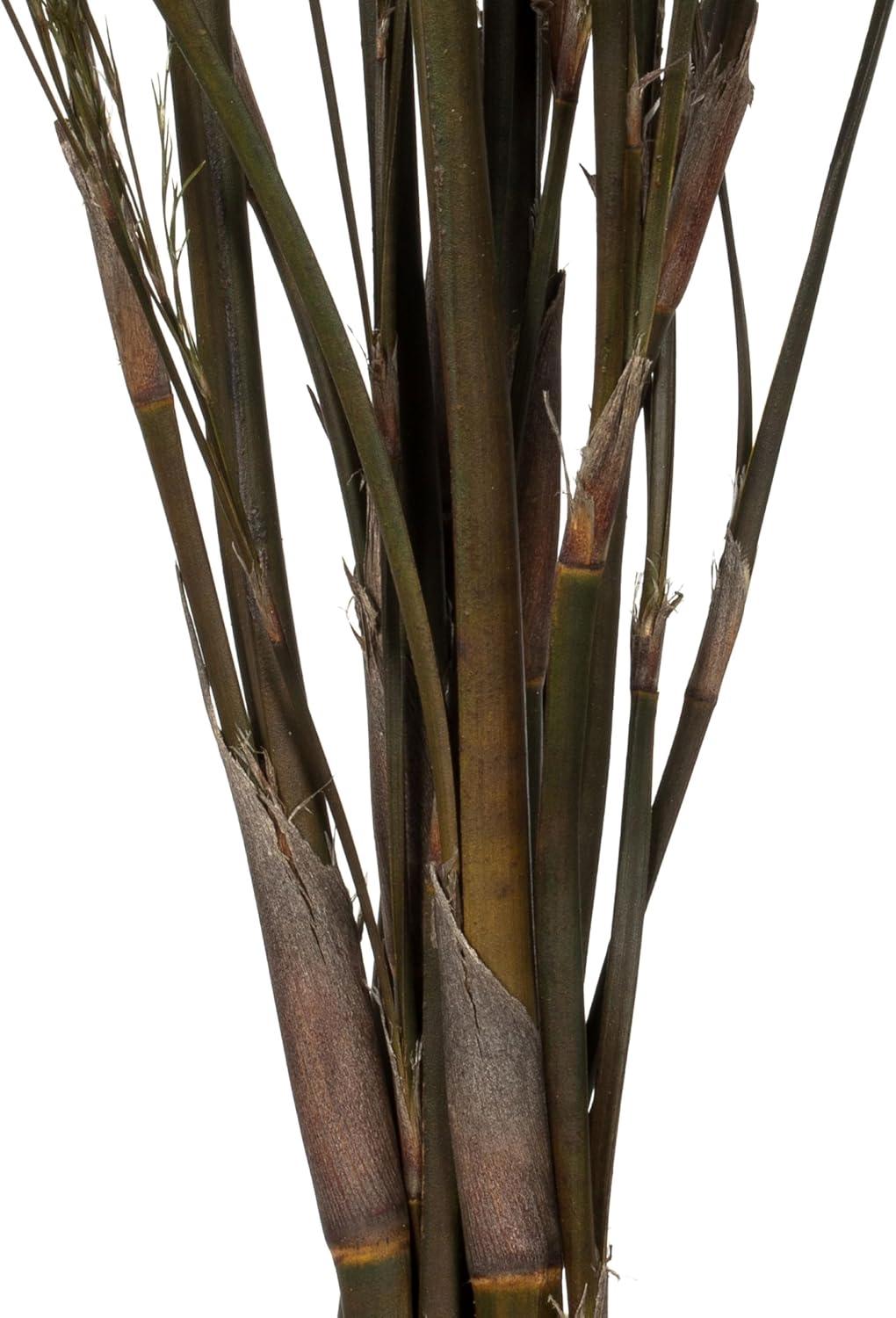 Vickerman 36-40" Green Reed Grass -Includes 8-9 oz per Bundle. Preserved