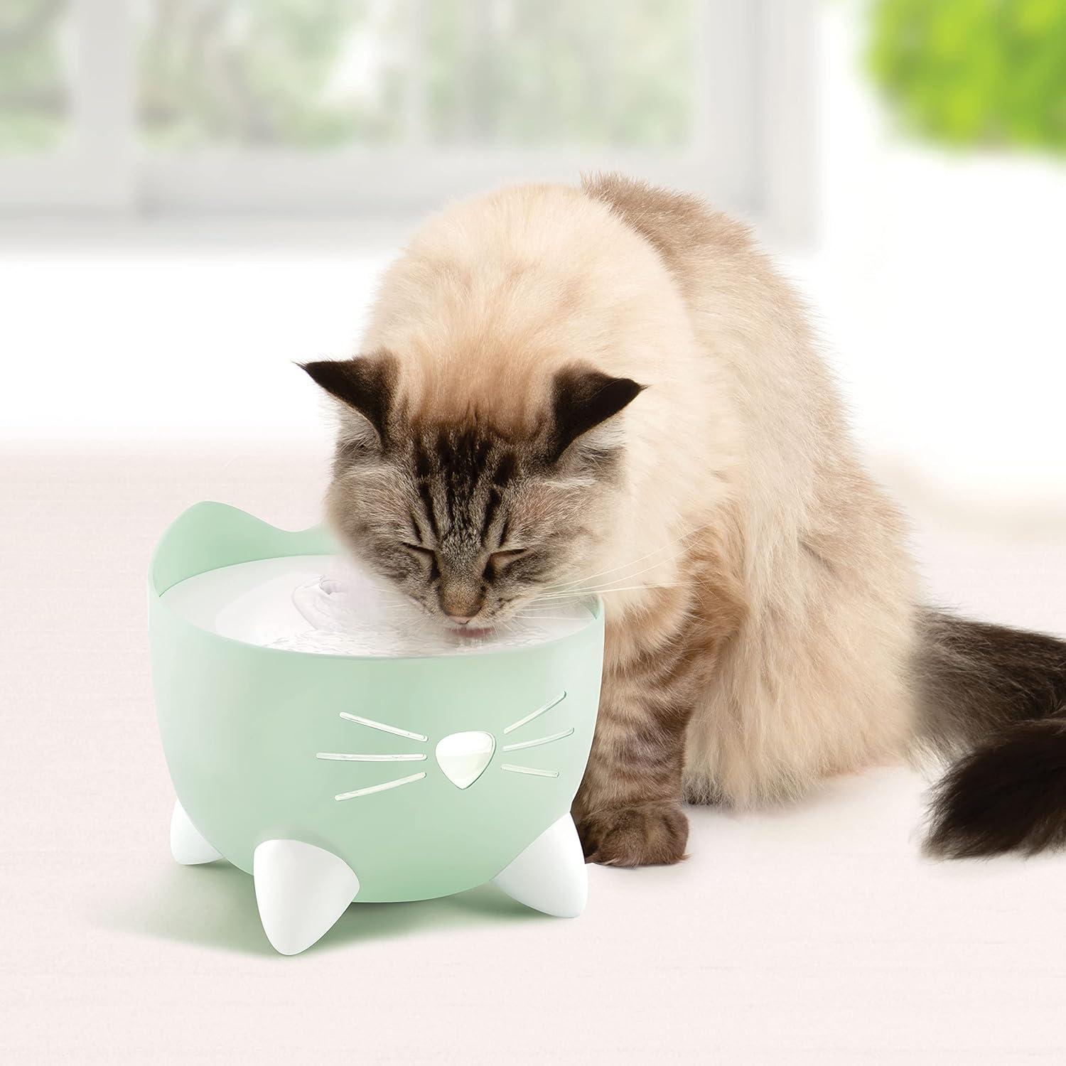 Mint Green Stainless Steel Cat Water Fountain