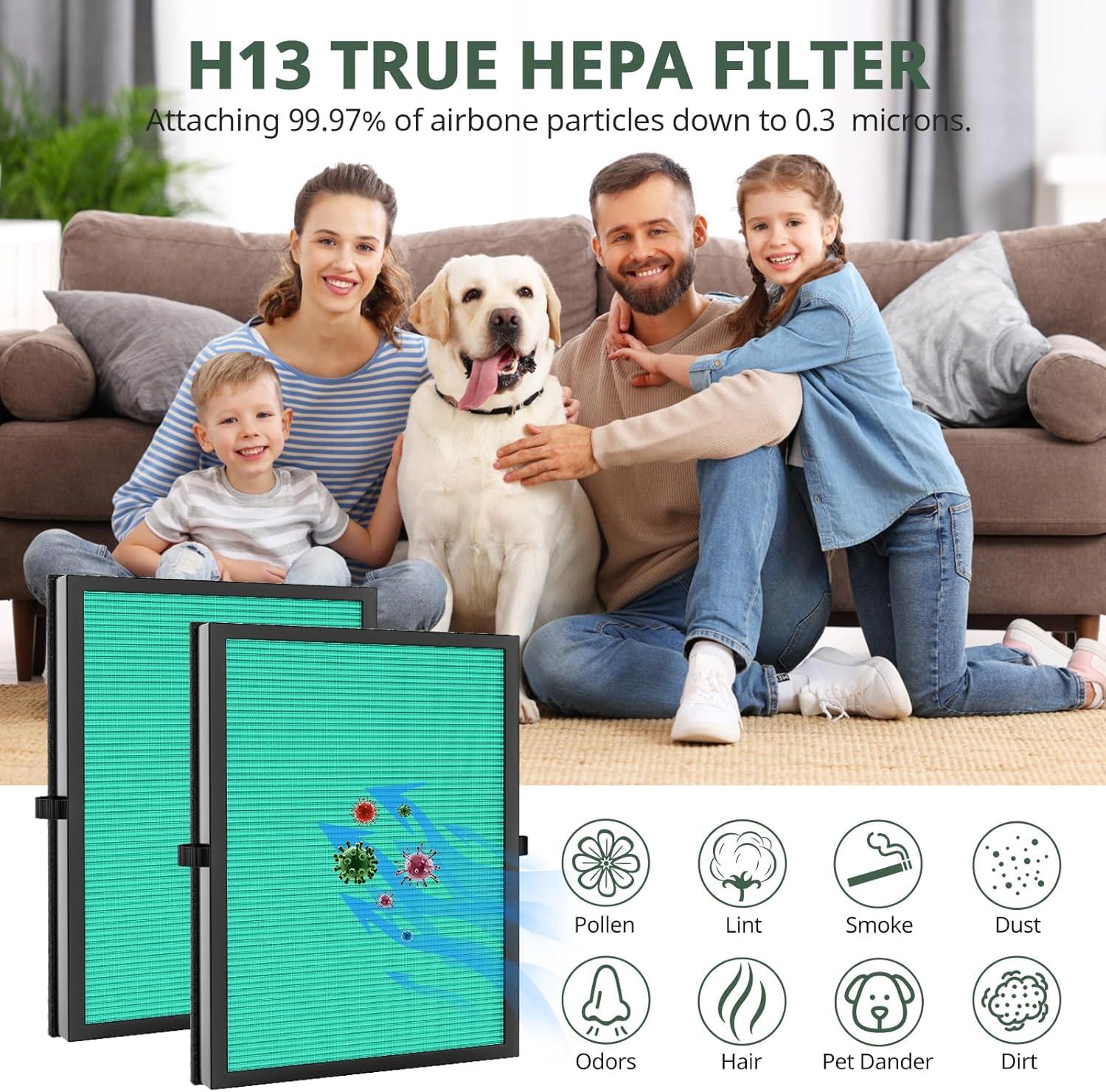 MK04 Replacement Filter, 2 Pack Compatible with MK04 MG04JH Air Purifier, Air Filter H13 True HEPA Filter for Dust, Pet Dander, Smoke for Bedroom, Home, Office (Green)