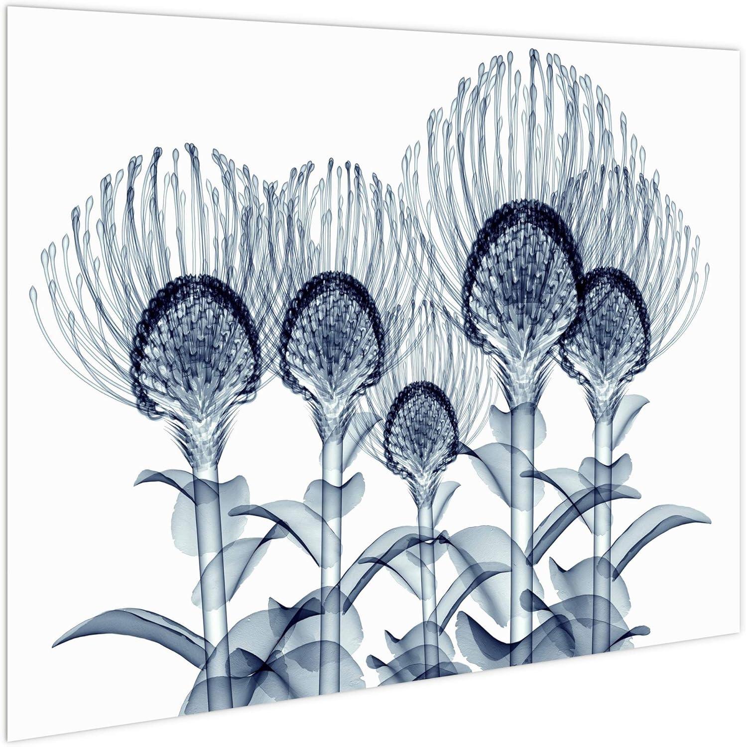 Empire Art Direct "Nodding Pincushions" Frameless Free Floating Tempered Glass Panel Graphic Wall Art