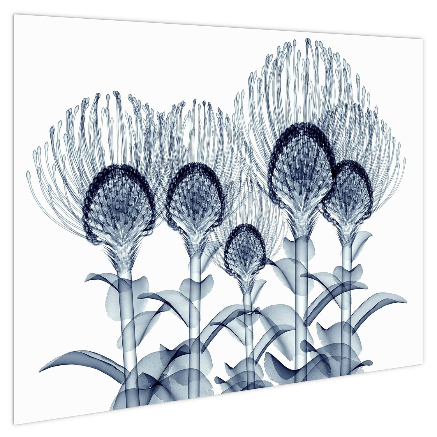 Empire Art Direct "Nodding Pincushions" Frameless Free Floating Tempered Glass Panel Graphic Wall Art