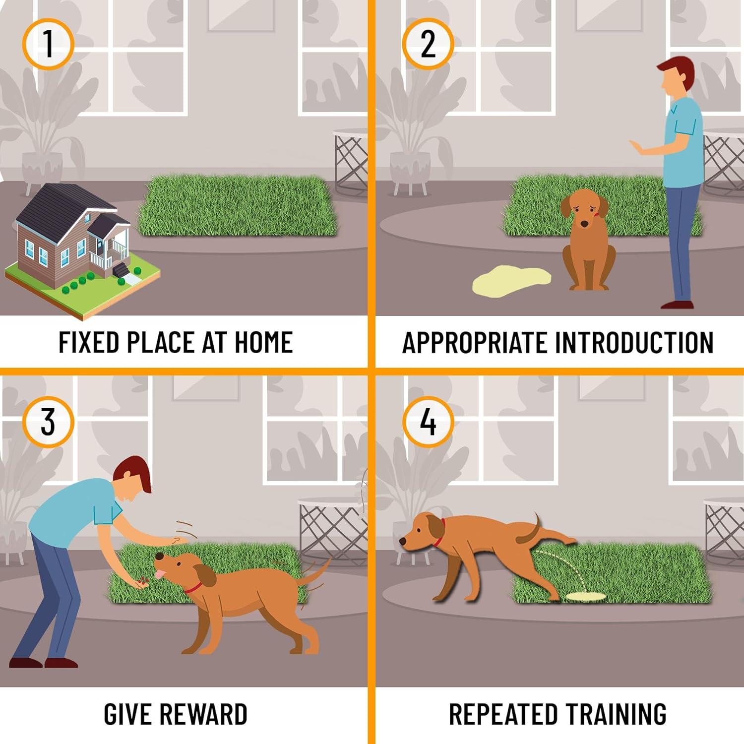 Ottomanson Pet Training Non-Slip Indoor/Outdoor Tray with Reusable Grass Pad