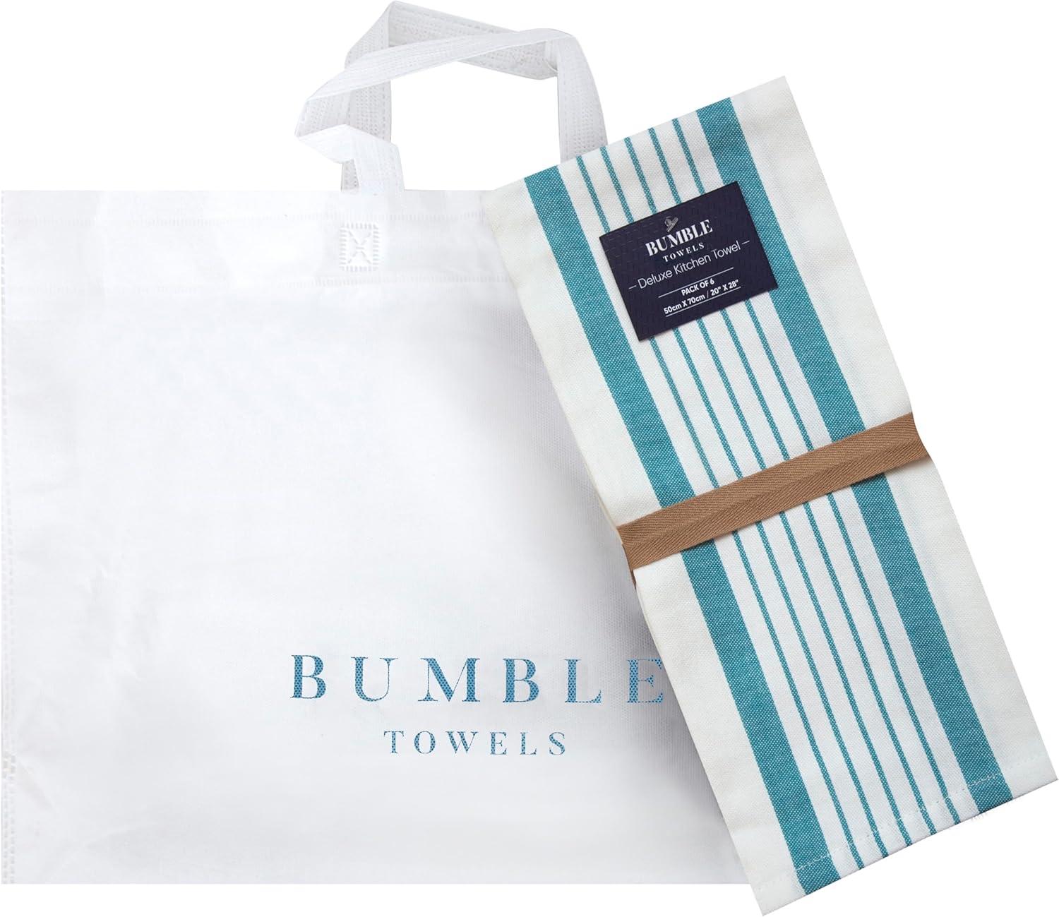 Premium Kitchen Towels 20”x 28”- 6 Pack| Large Cotton Kitchen Towels | Hand Towels for Kitchen | Flat & Terry Towel | Dish Towels | Highly Absorbent Tea Towels Set with Hanging Loop | Aqua Striped