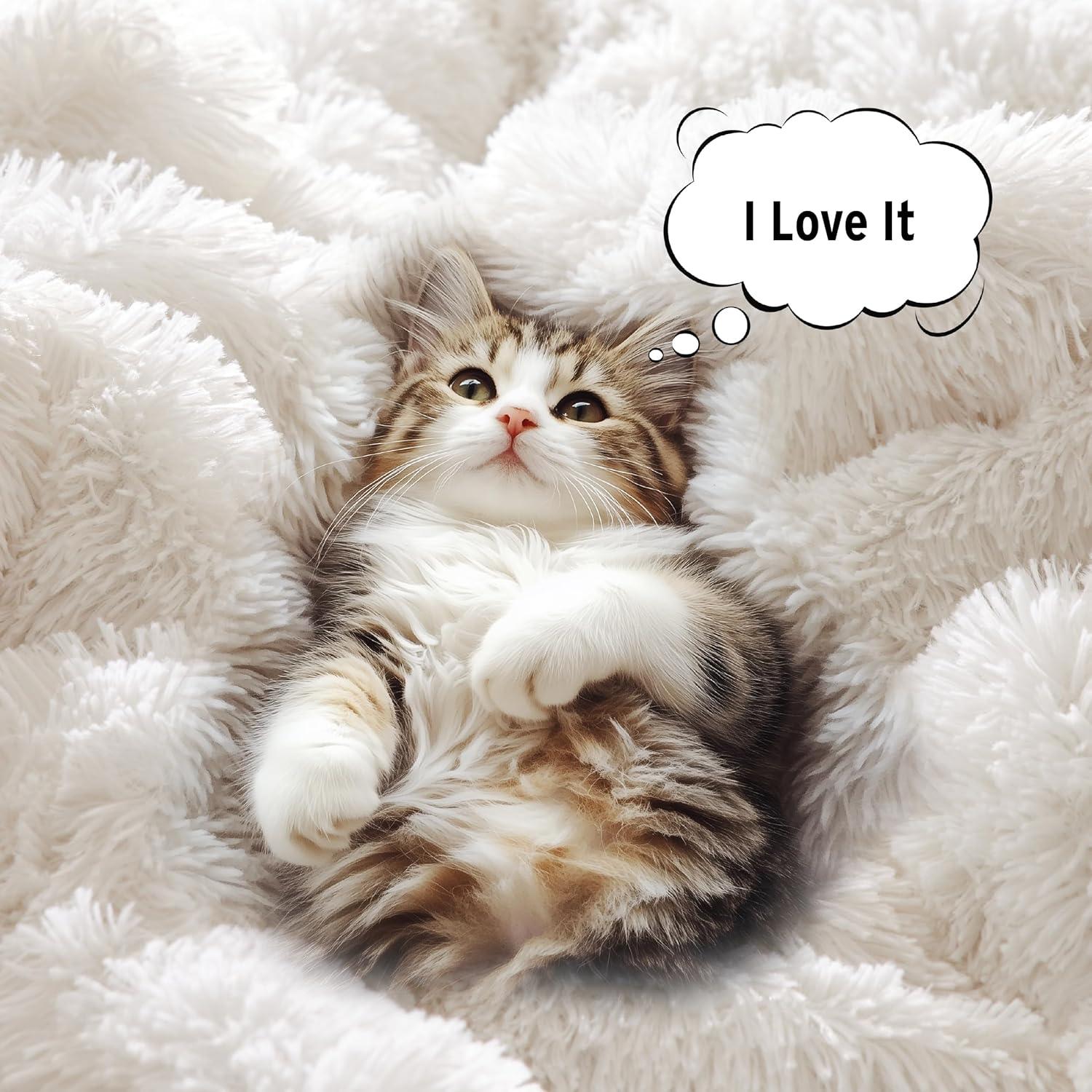 Intelligent Design Malea Shaggy Faux Fur Comforter Mini Set