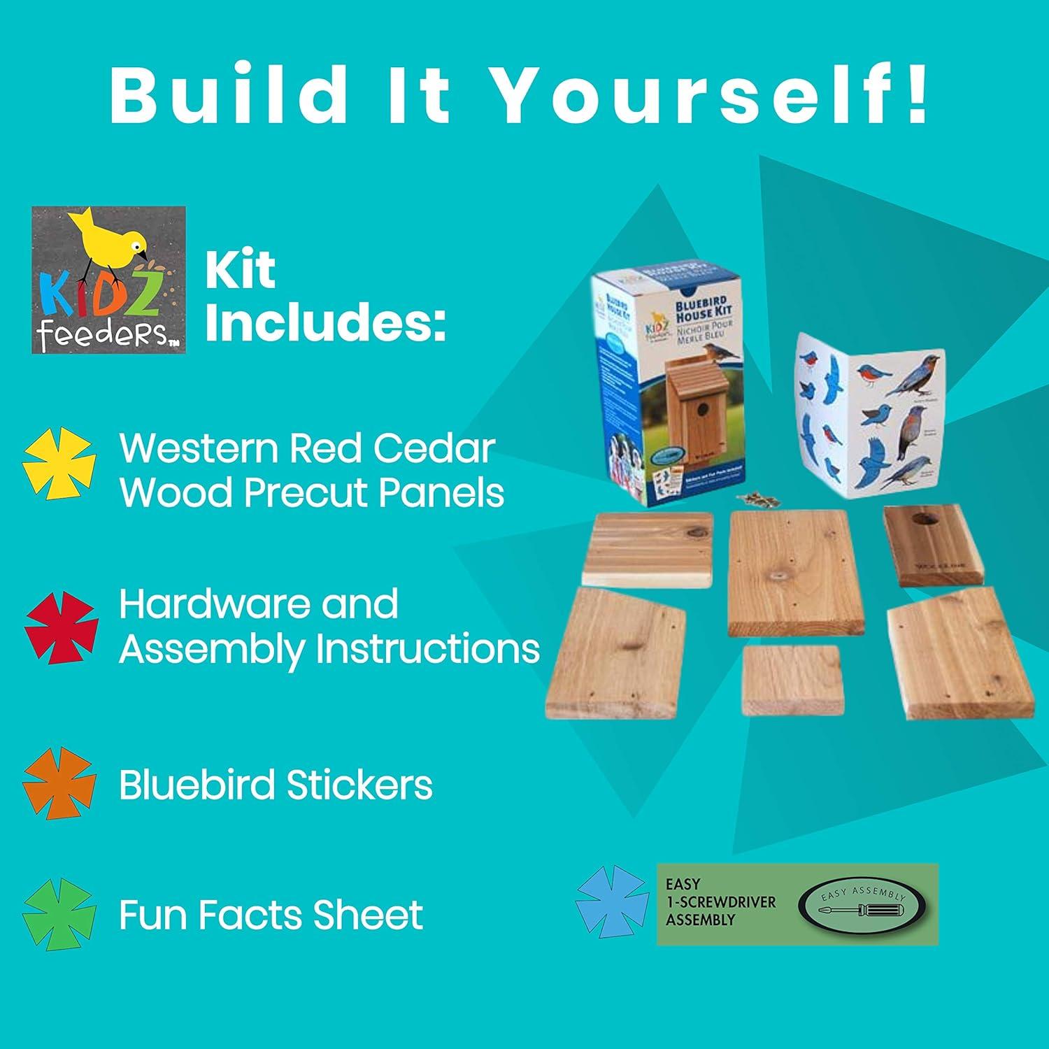 Panacea Woodlink Classic Bluebird House DIY Craft Kit