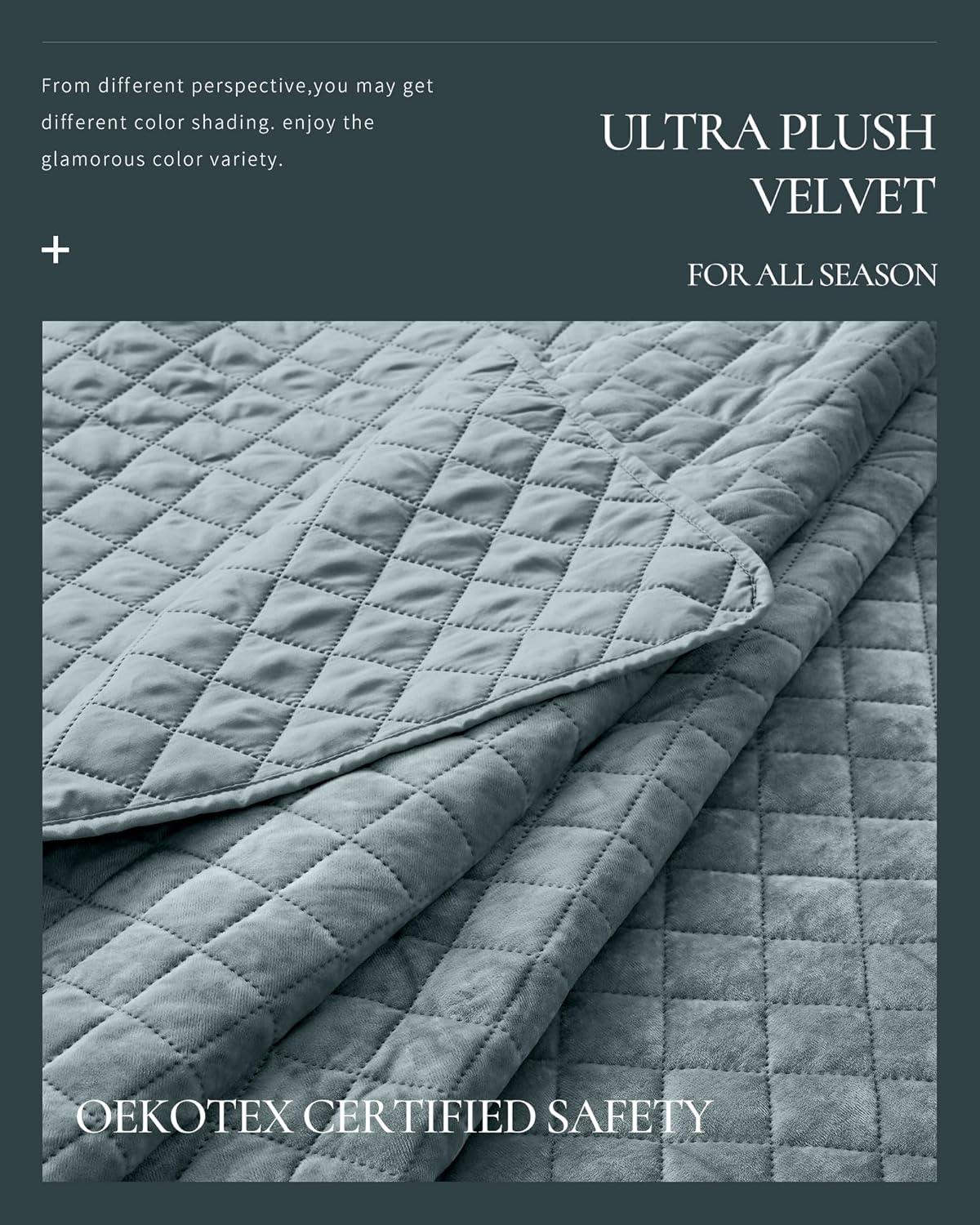 Royal Velvet Diamond Velvet Quilt Set
