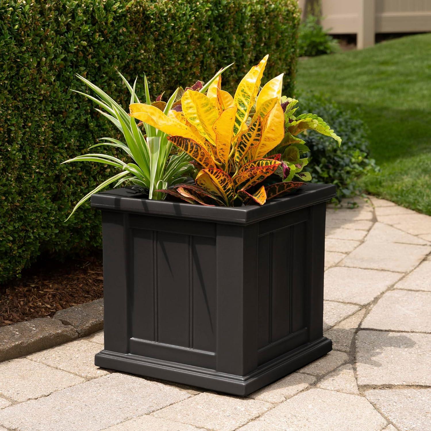 Cape Cod Black Polyethylene Self-Watering Outdoor Planter