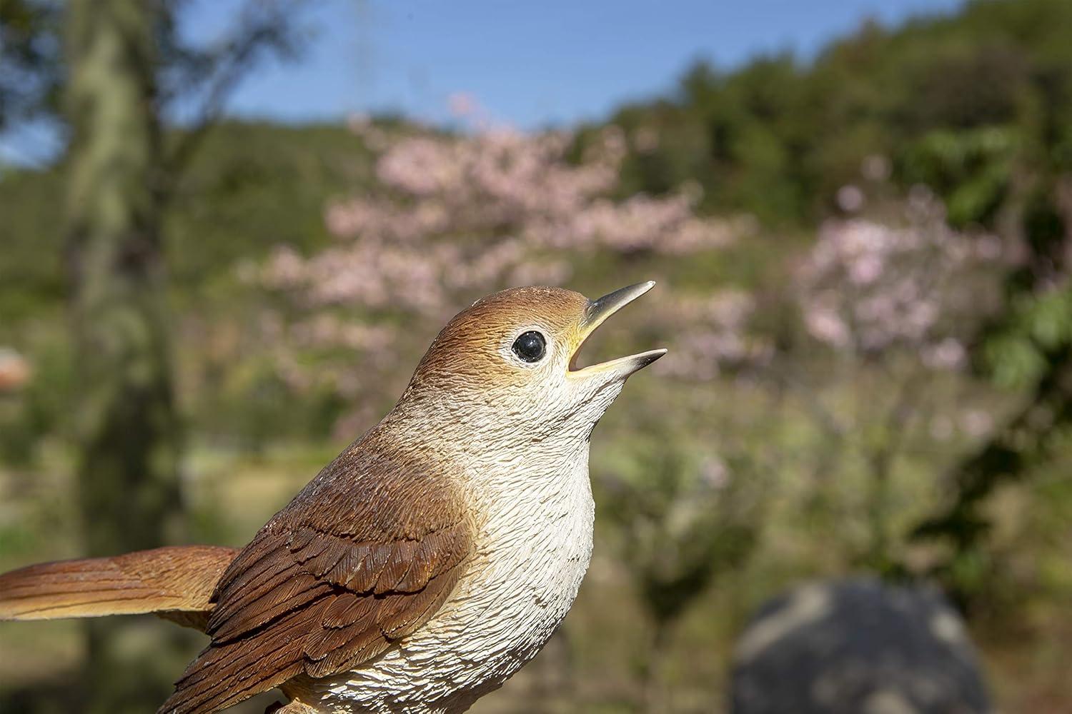 Hi-Line Gift Ltd. Motion Activated Singing Nightingale Standing on Stump