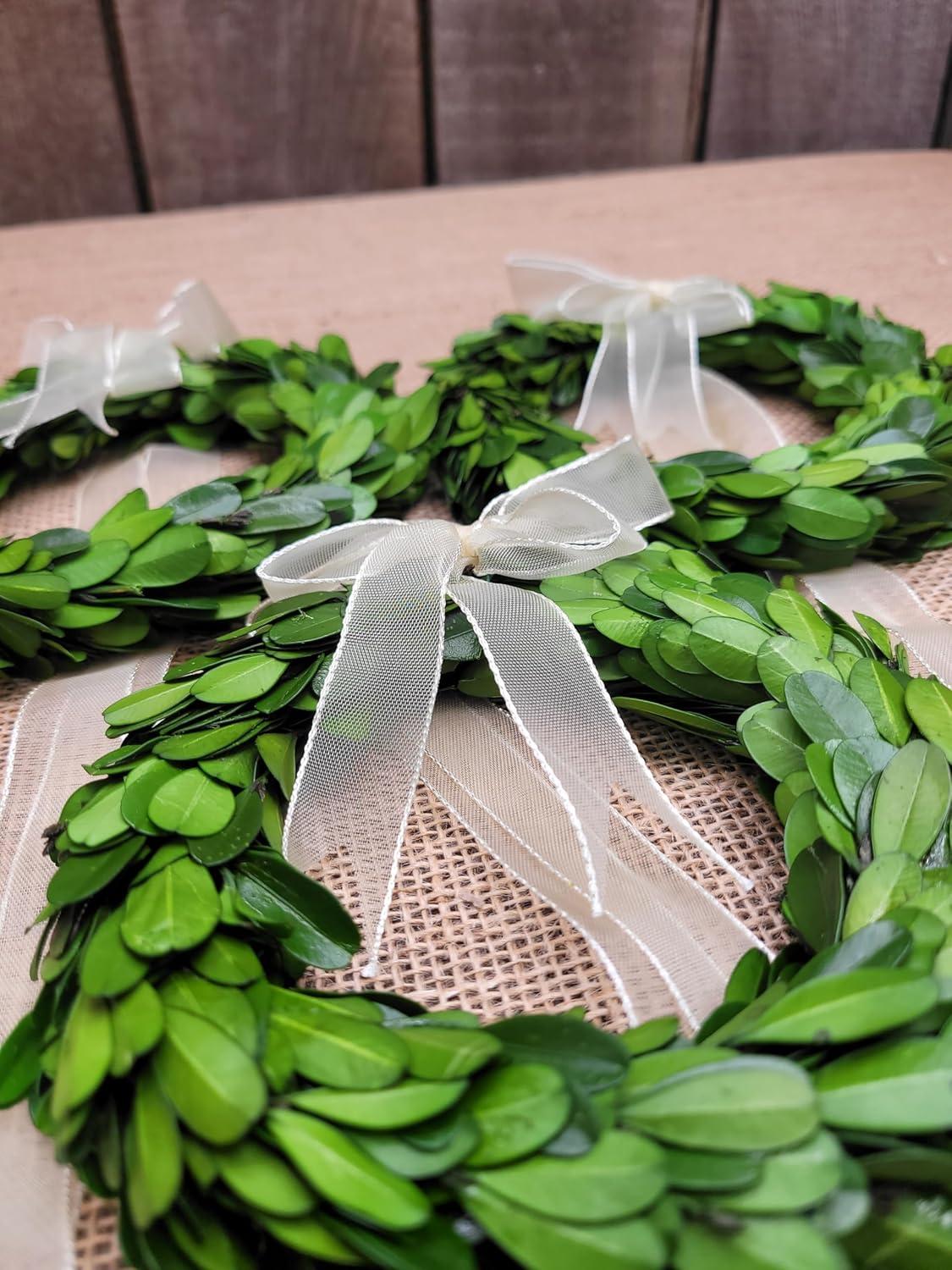 Ophelia & Co. Preserved Mixed Assortment 8'' Wreath (Set of 3)