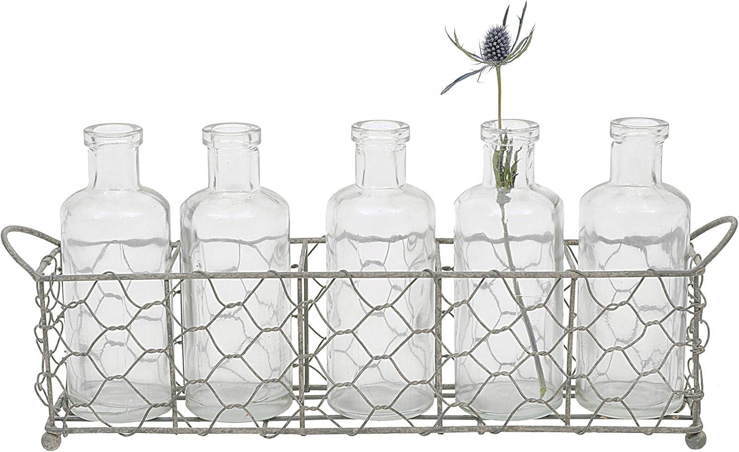 Creative Co-Op 5 Glass Vase Bottles on a Rectangle Metal Holder with Handles, Clear and Black, Set of 6