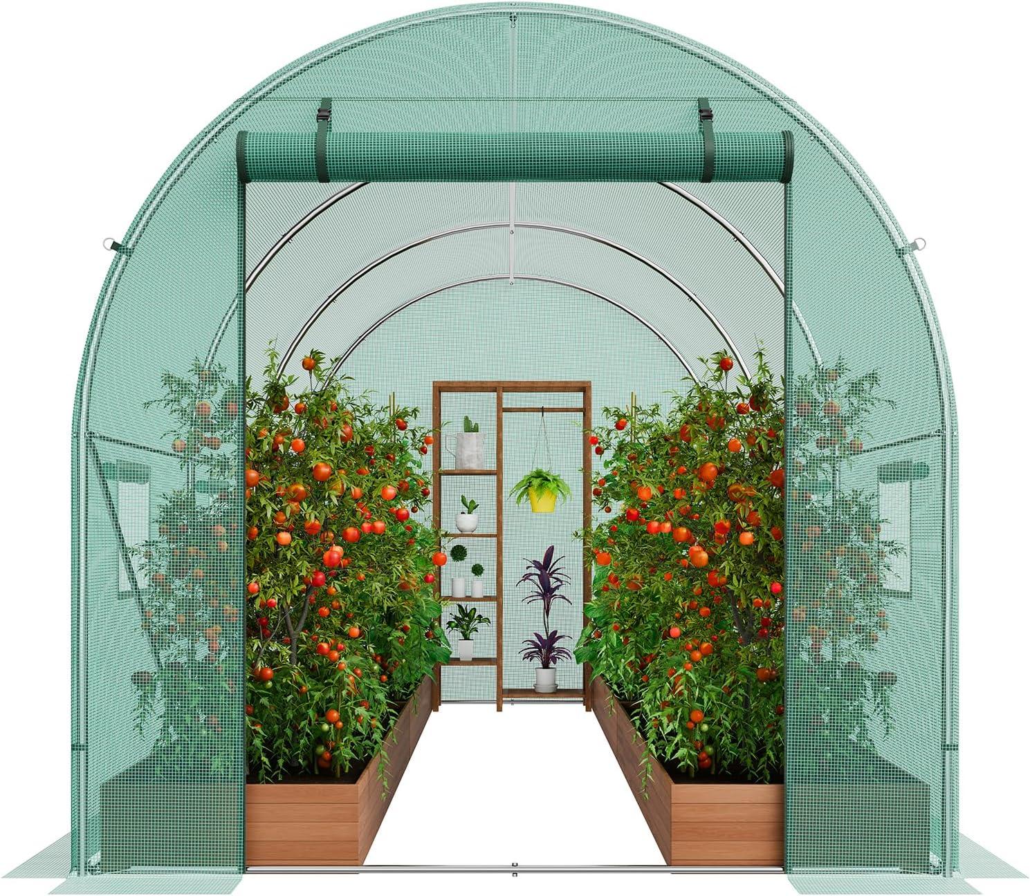 Large Green Walk-In Tunnel Greenhouse with Galvanized Steel Frame