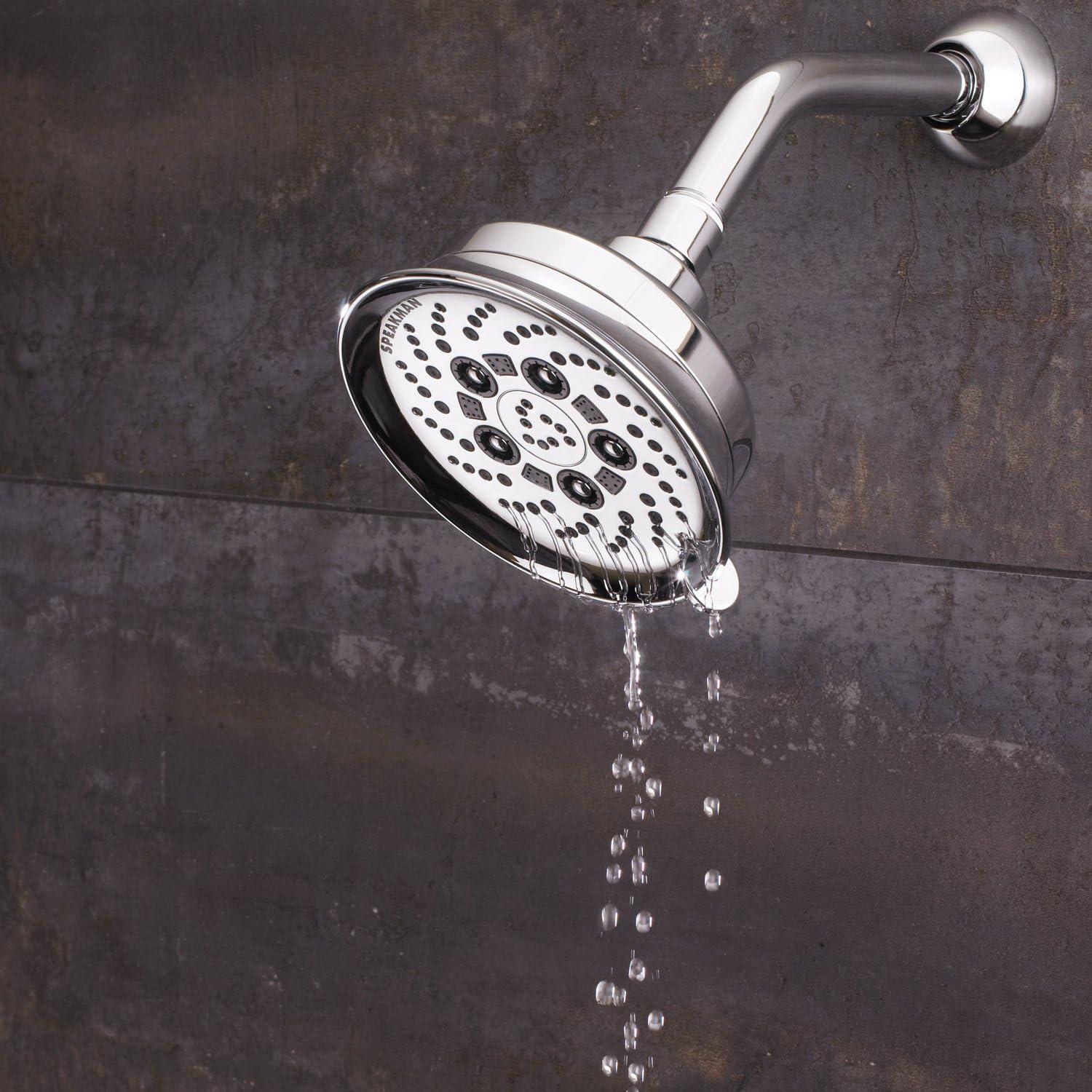 Assana 2.5 GPM (9.5 L/min) Adjustable Shower Head with Anysteam Technology