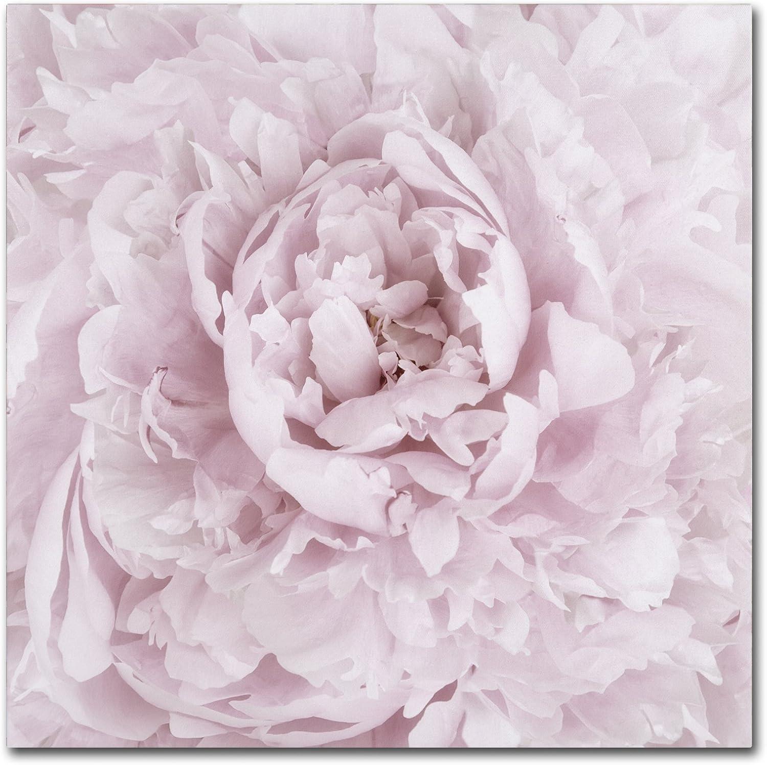 Trademark Fine Art -Cora Niele 'Pink Peony Flower' Canvas Art - 35''x35''