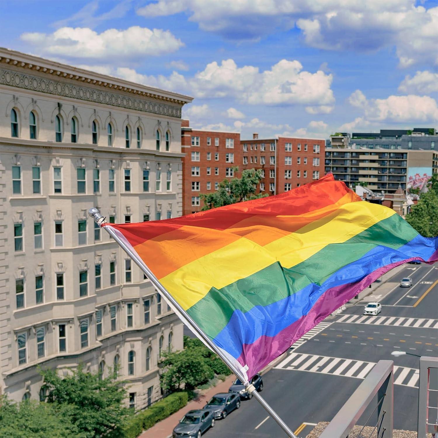 FLAGLINK Gay Pride Flag 3x5Fts LGBT Rainbow Flags Banner