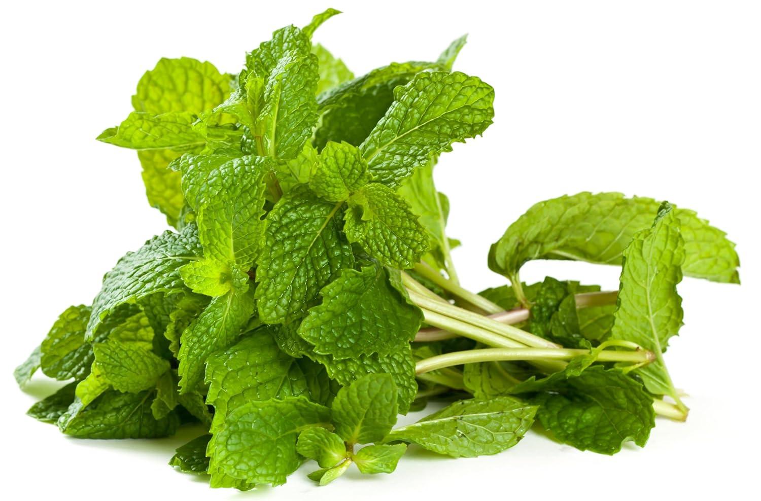 Fresh Mint (Pudina) Leaves - 1.5-2oz - Rani Brand Authentic Indian Products