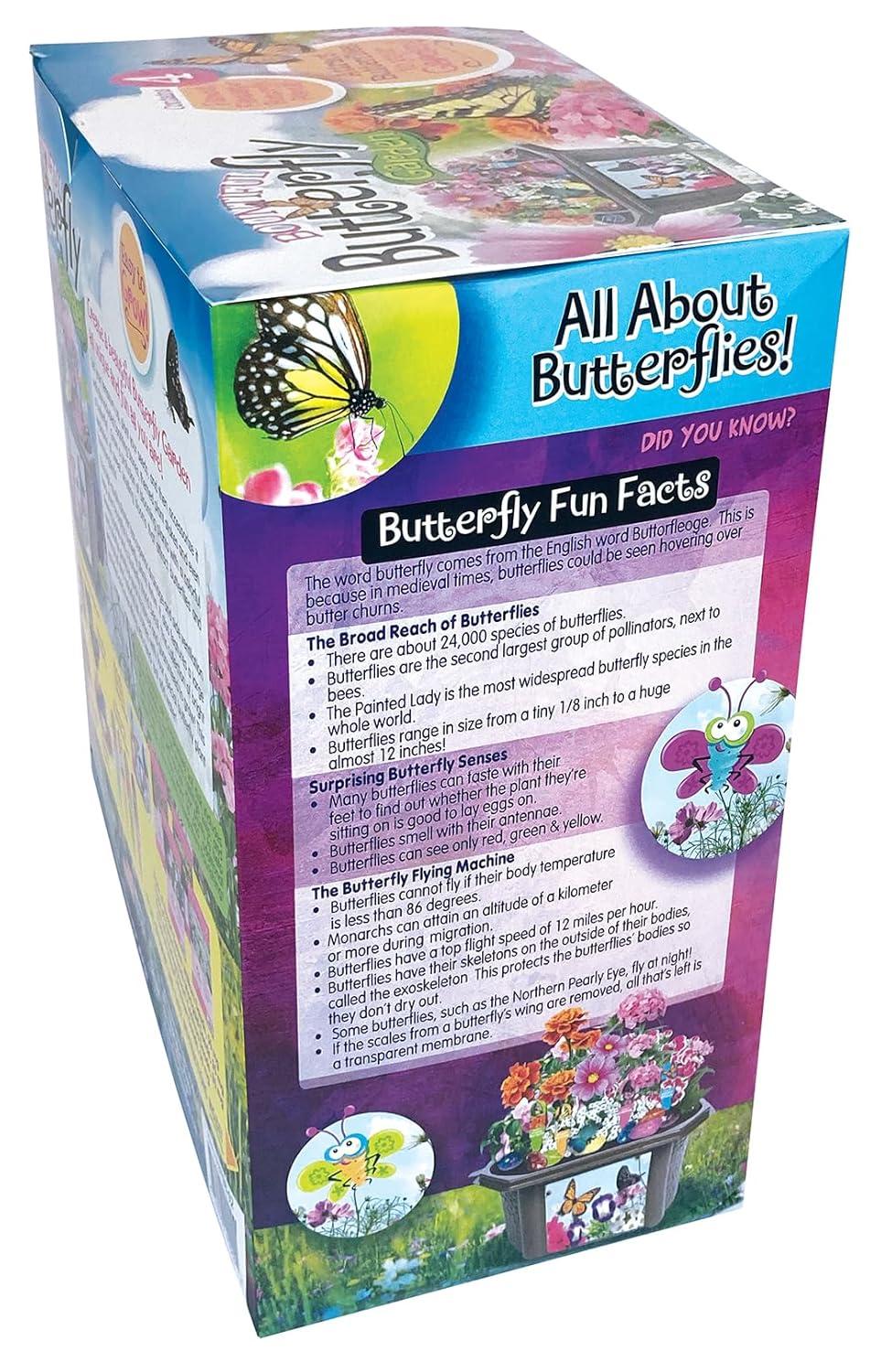 Toys By Nature Toys By Nature 1 Player S.T.E.M Game