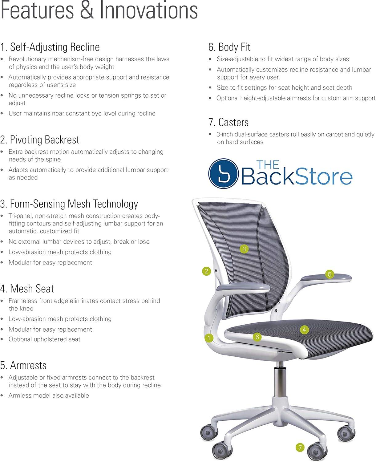 Humanscale Diffirient World Chair Material: Pinstripe Black Back