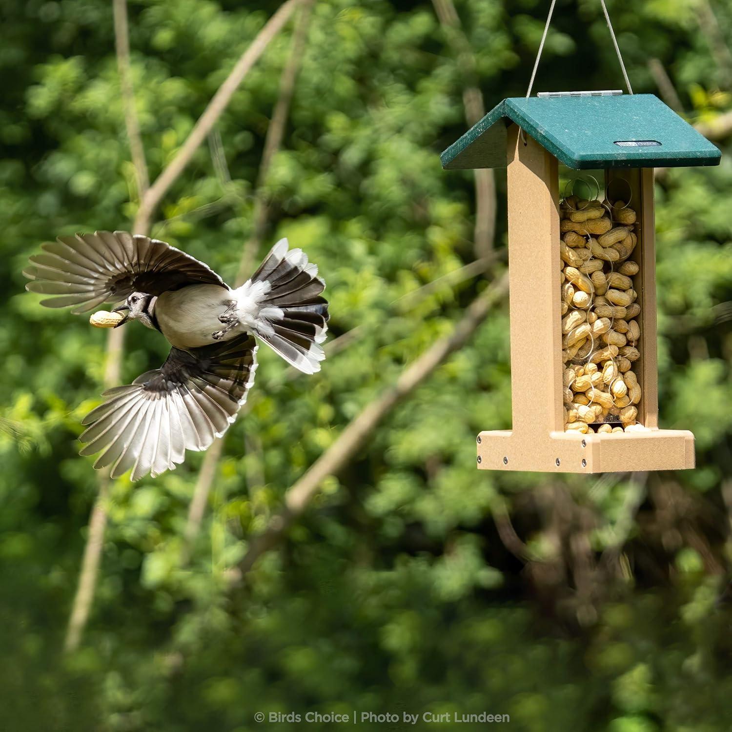 Birds Choice Hanging Hopper Bird Feeder