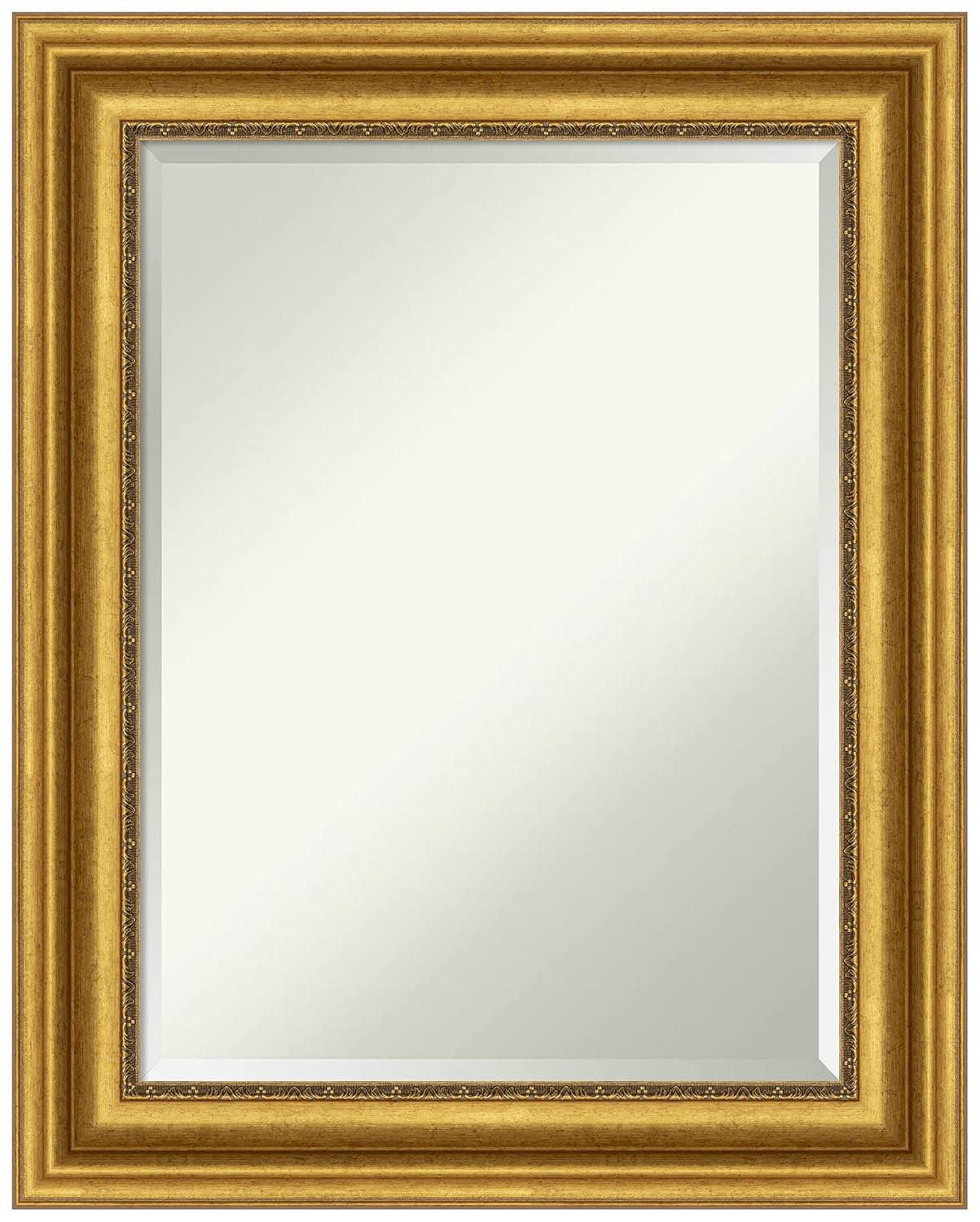 Amanti Art Parlor 23.75-in x 29.75-in Framed Rectangle Bathroom Vanity Mirror ( Antique Gold )