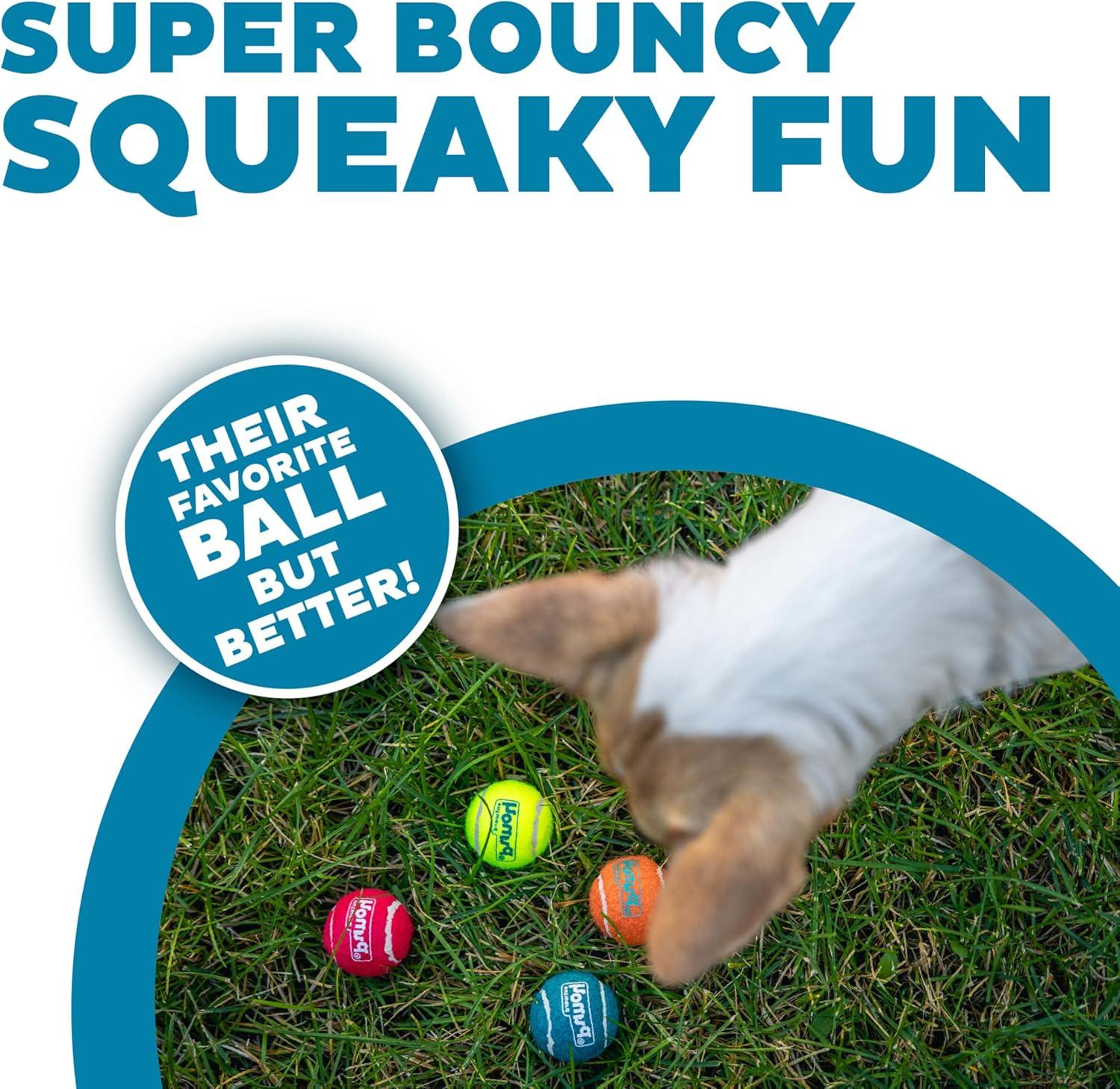 Outward Hound Squeaker Ballz Fetch Dog Toy, XS - 4 Pack