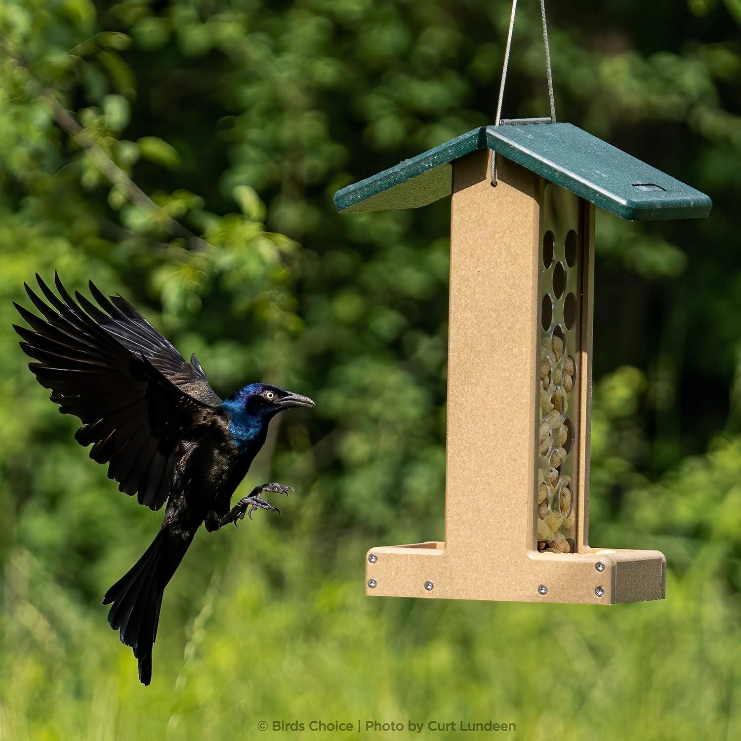 Birds Choice Hanging Hopper Bird Feeder