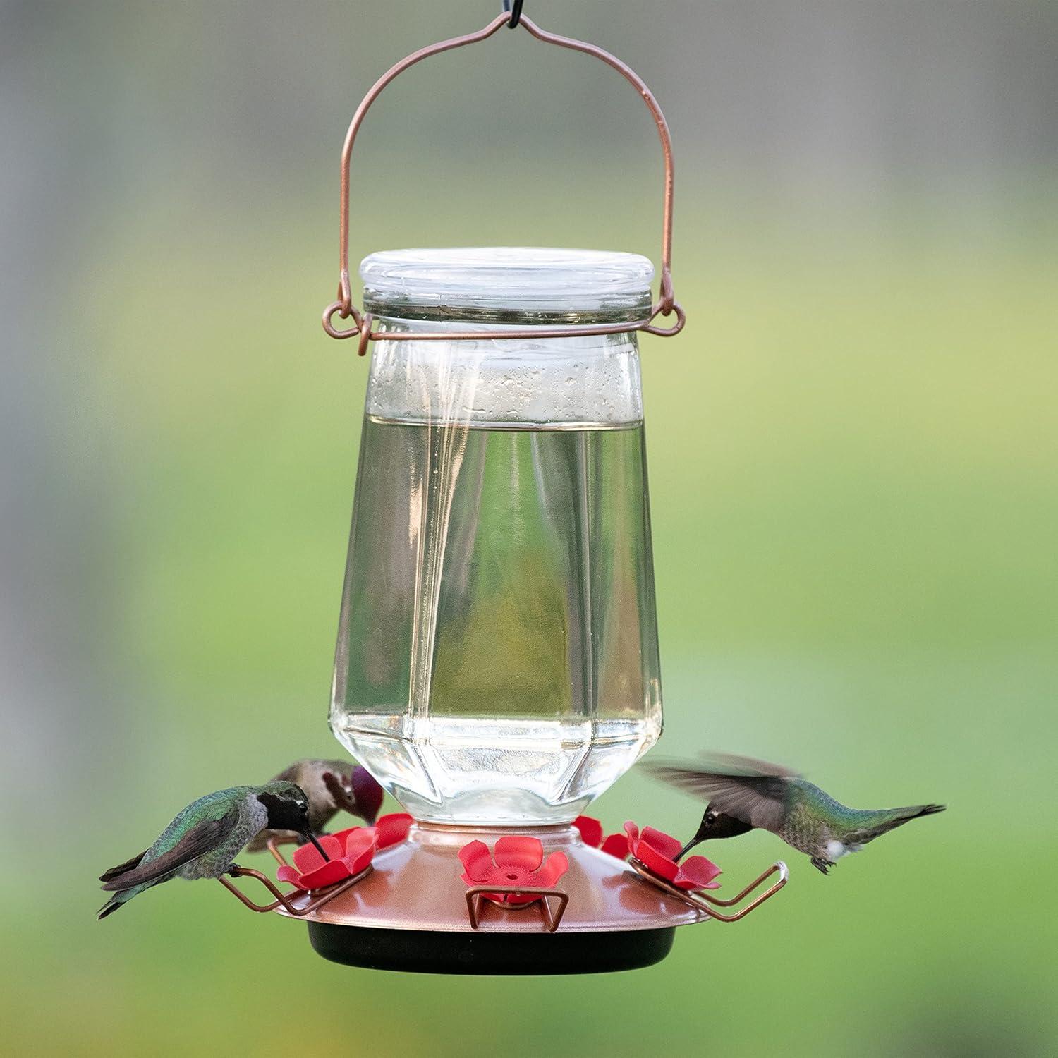 Bronze Glass Hanging Hummingbird Feeder with Red Ports