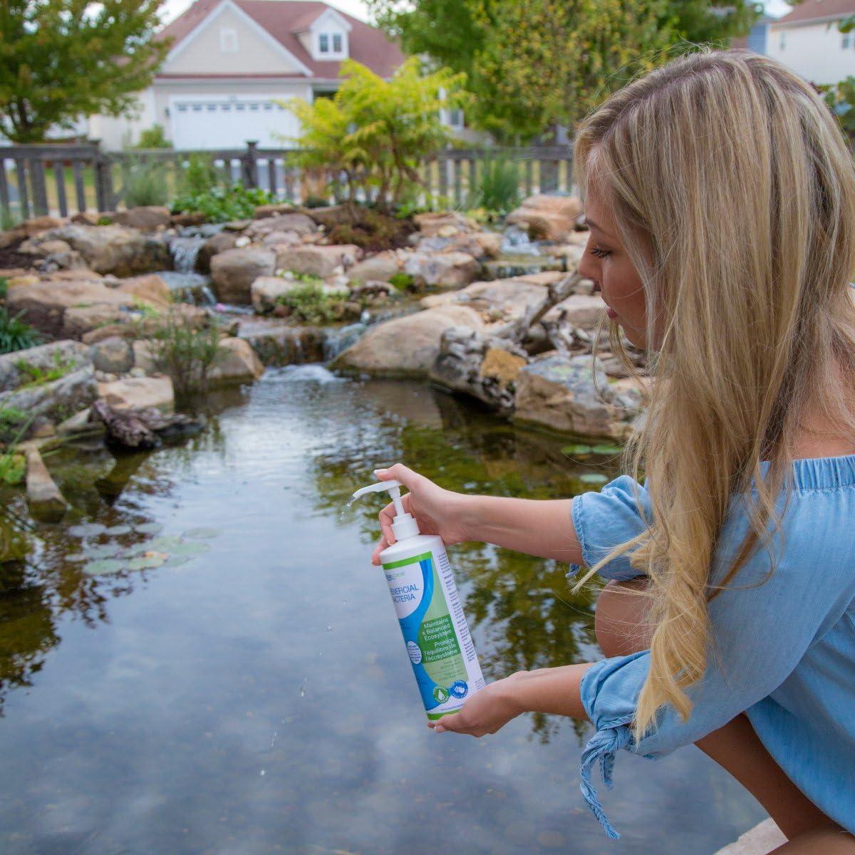 Aquascape Prevent for Fountains and Waterfalls Algae Control