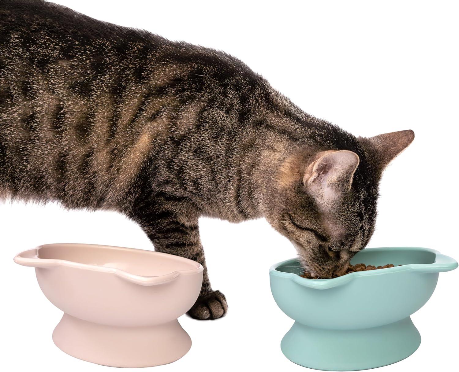 Pastel Cat Ears Elevated Pet Bowls Set