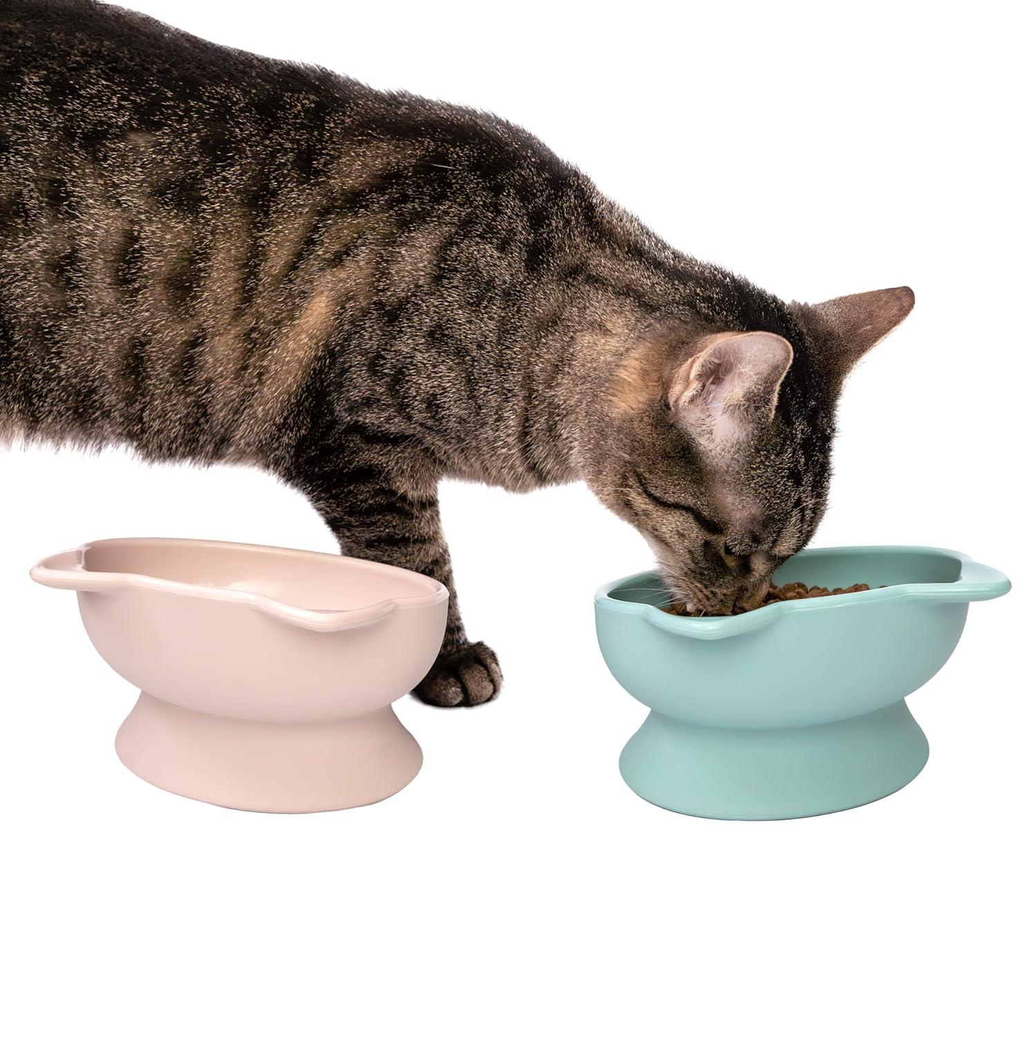 Kitty City Raised Cat Bowls 2pk