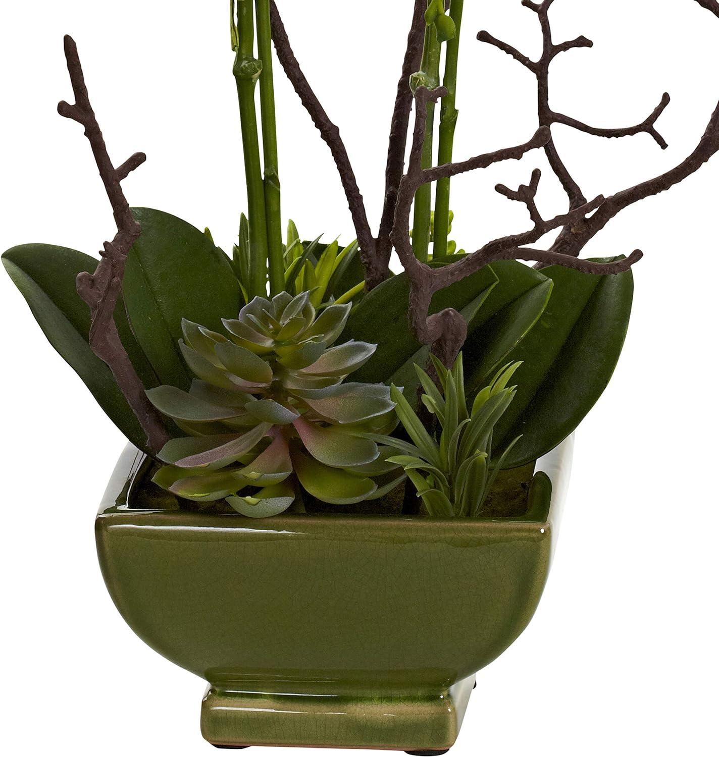 Orchid Elegance & Green Succulent 20" Outdoor Tabletop Arrangement