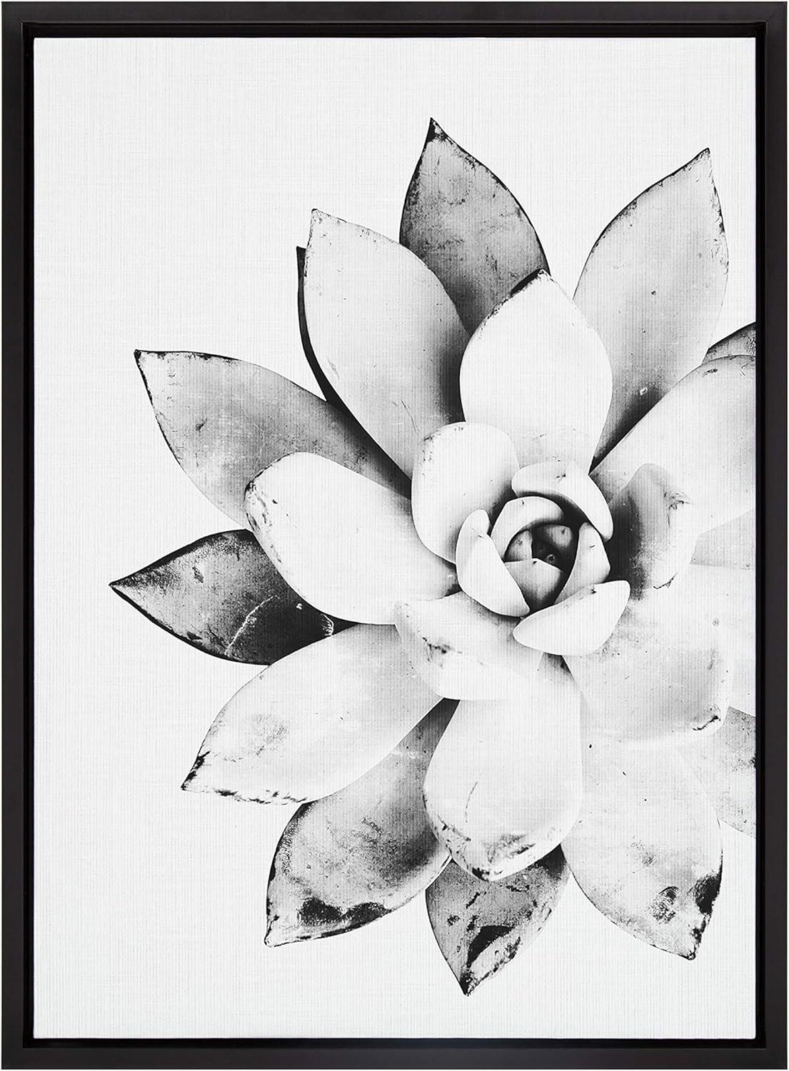 Black and White Succulent Canvas Print with Polystyrene Frame, 18x24