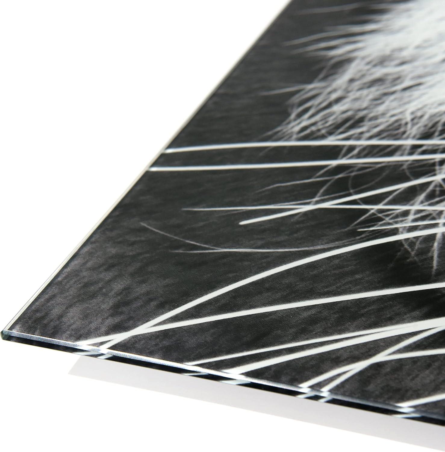 Empire Art Direct " Tiger ABC " 3 - Pieces