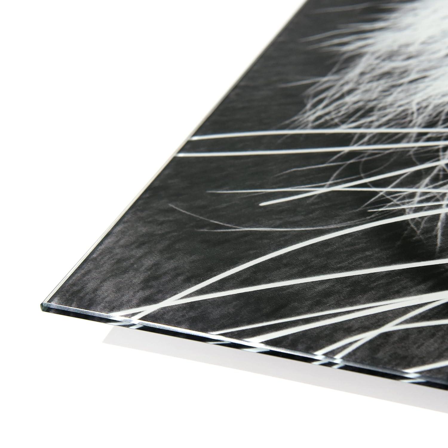 Empire Art Direct " Tiger ABC " 3 - Pieces