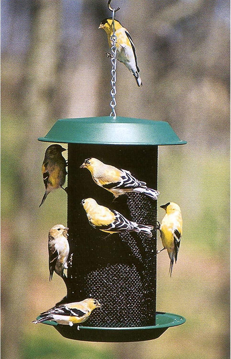 Green Metal Hanging Tube Bird Feeder with Tray