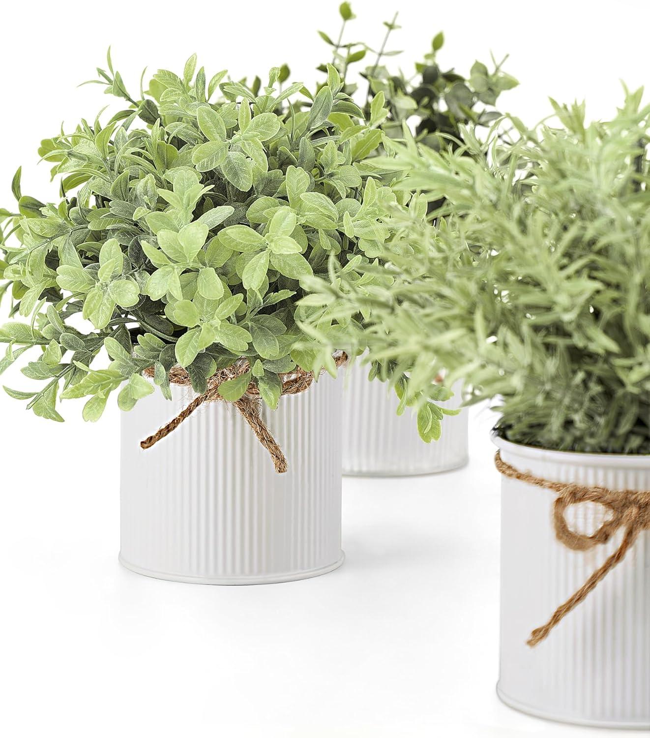 Set of 3 Green Faux Boxwood and Eucalyptus Tabletop Centerpieces