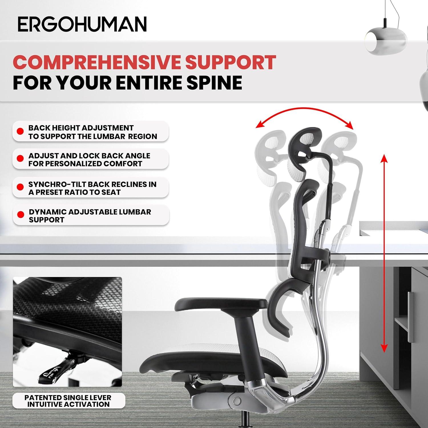 Eurotech Seating Ergohuman Executive Chair with Headrest