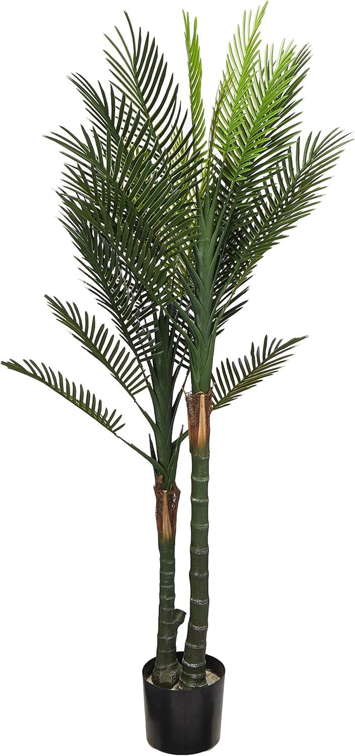 5.5ft Green Silk Double Robellini Palm Tree