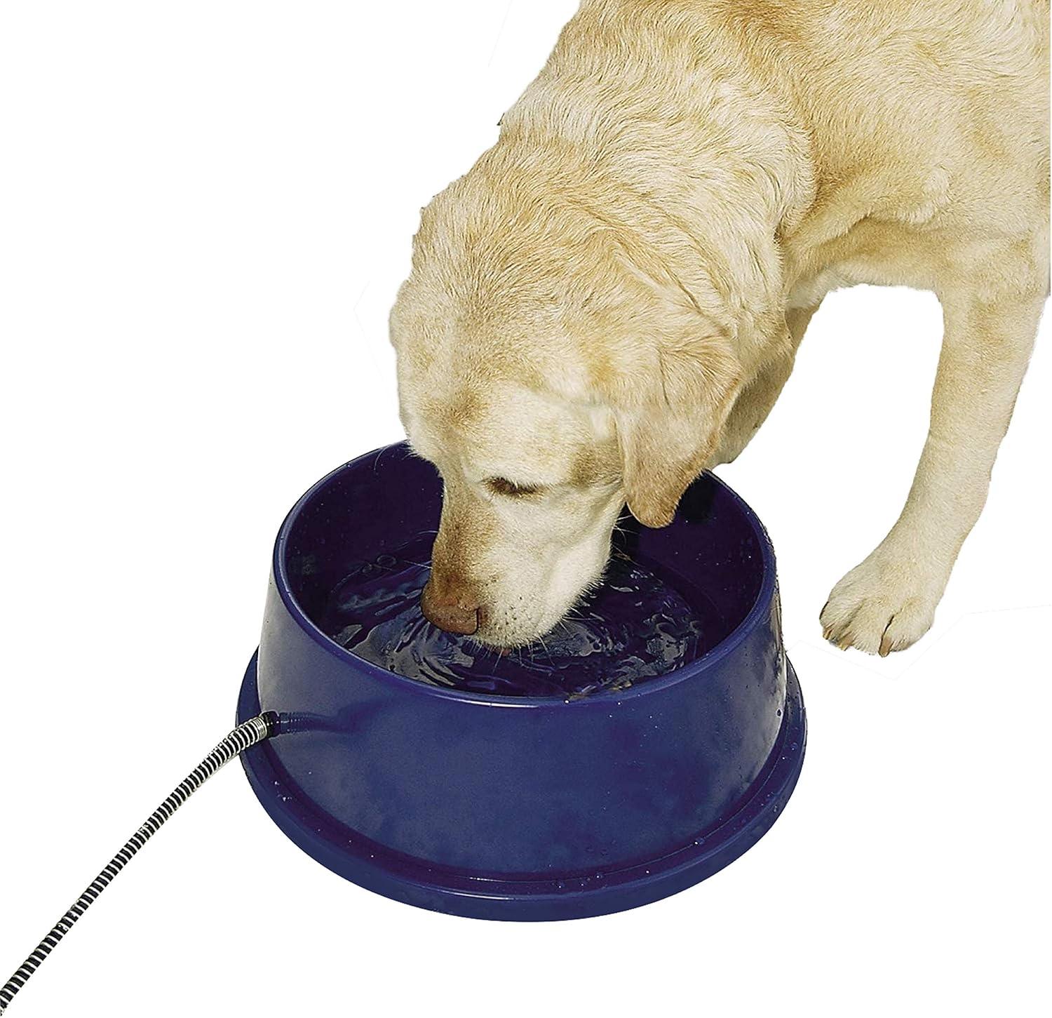 K&H Pet Products Thermal-Bowl