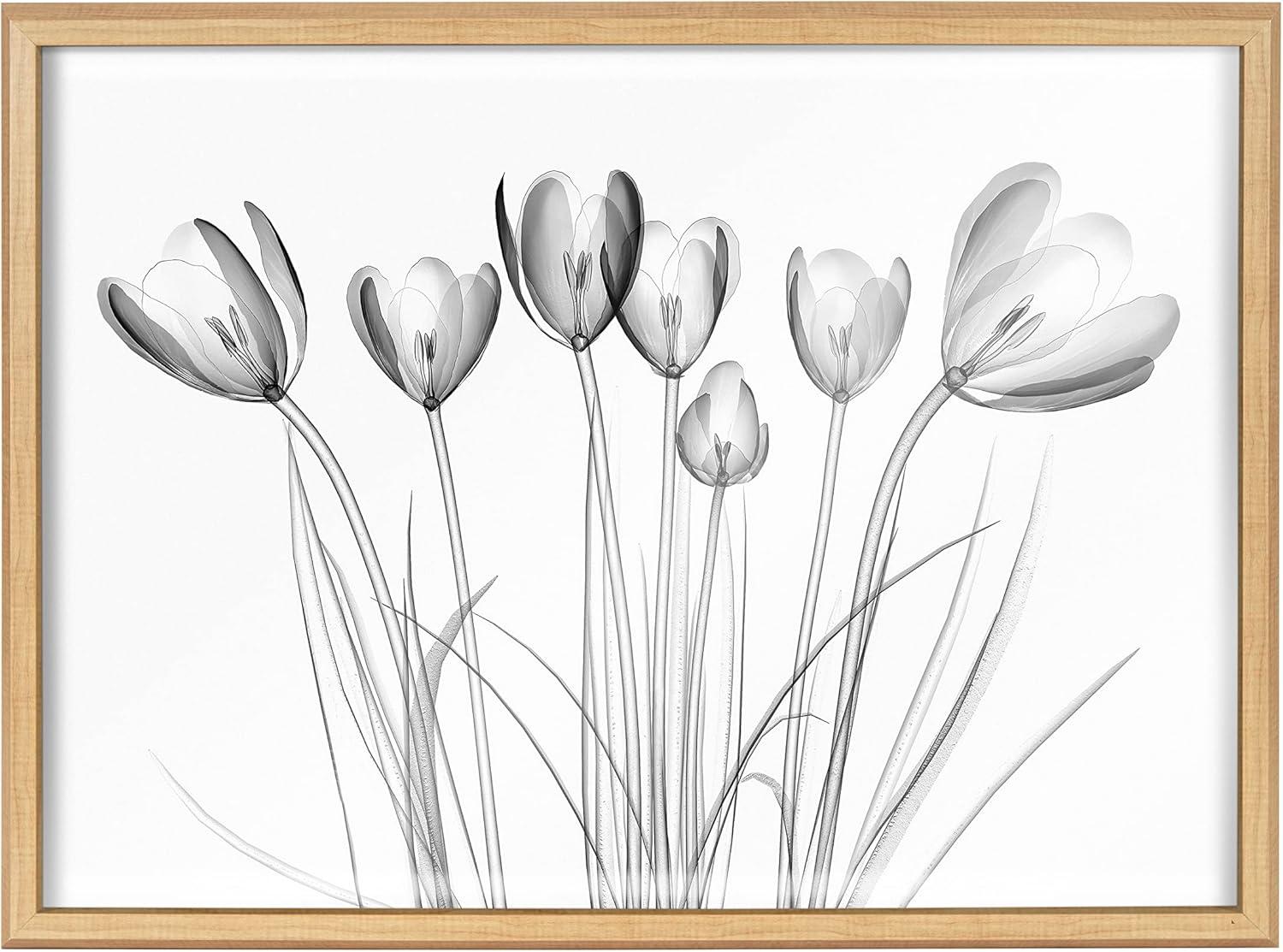 Kate and Laurel Blake Crocus X Ray Floral BW Framed Printed Glass Wall Art by The Creative Bunch Studio, 18x24 Natural, Decorative Modern Flower Art Print for Wall