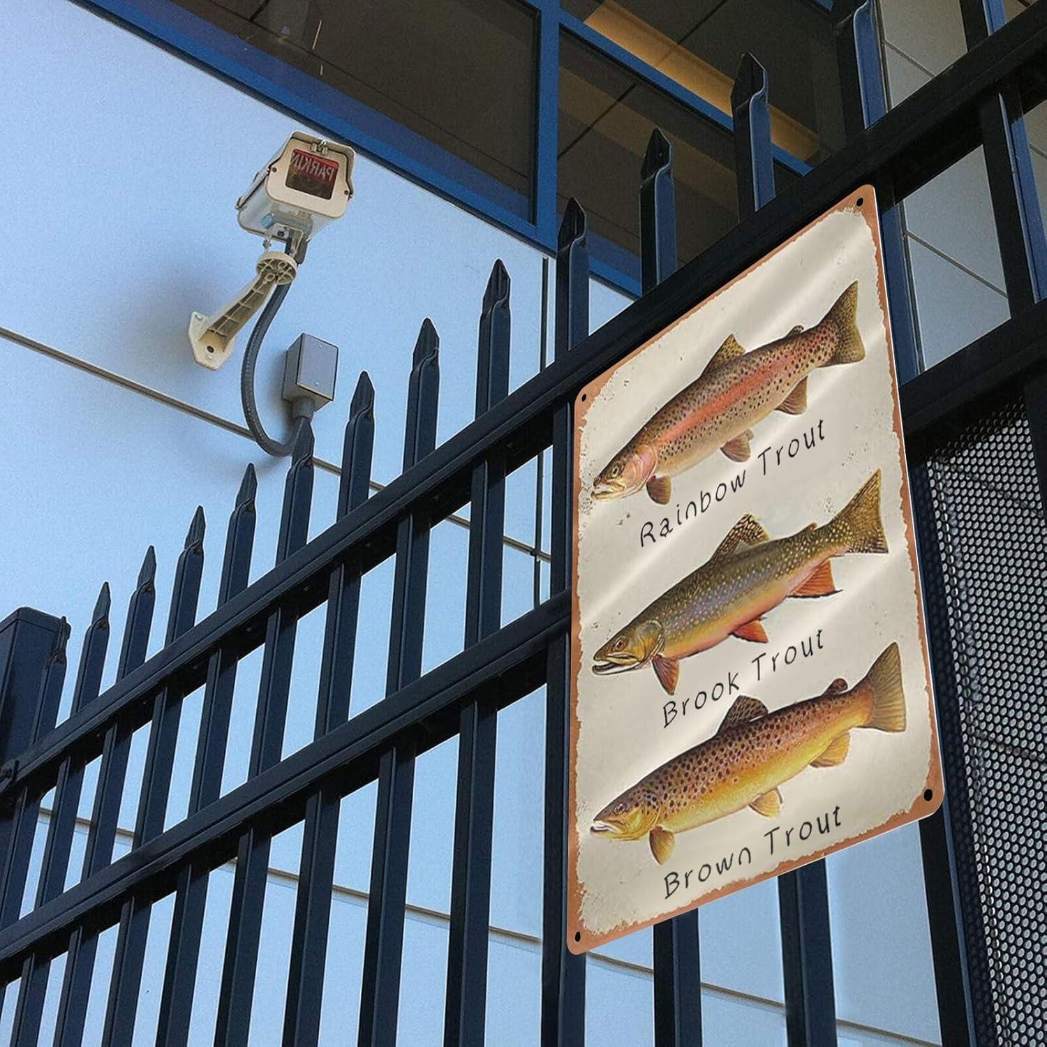 GCOCL Rainbow Trout Brook Trout Brown Trout Retro Metal Decor Wall Plaque Vintage Tin Sign for House Cafe Club Home Or Bar