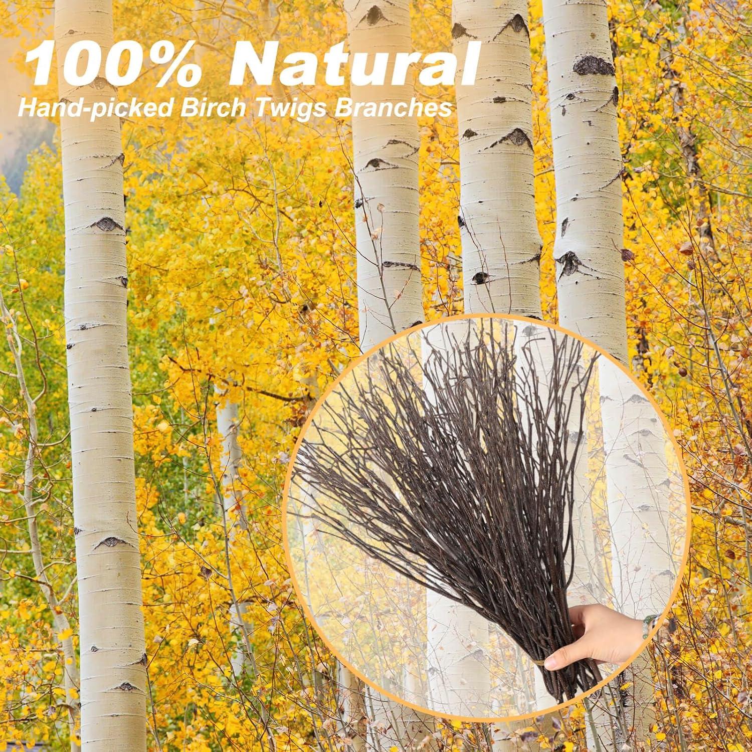 Natural 17" Birch Twigs for Rustic Decor and Crafts