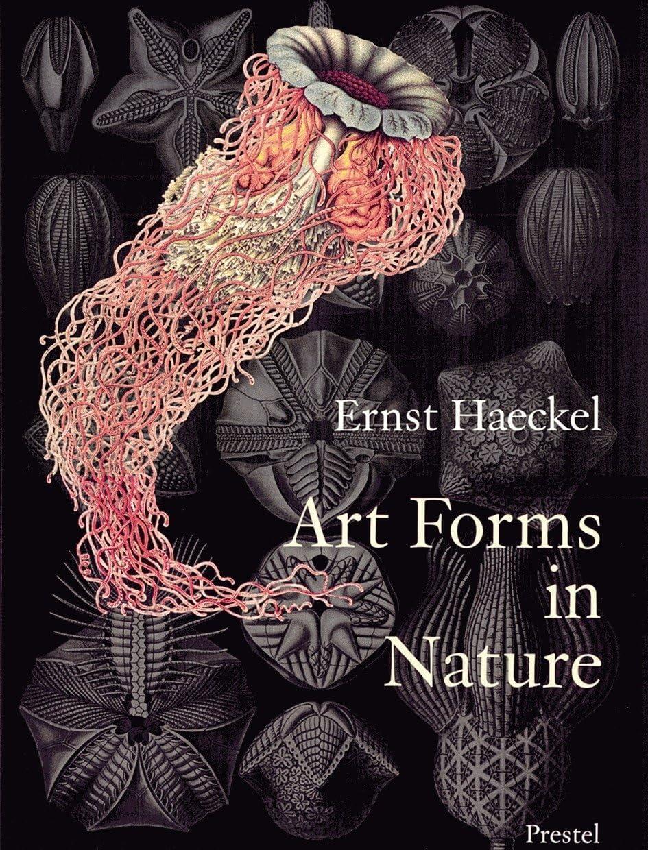 Ernst Haeckel Art Forms in Nature Paperback Book