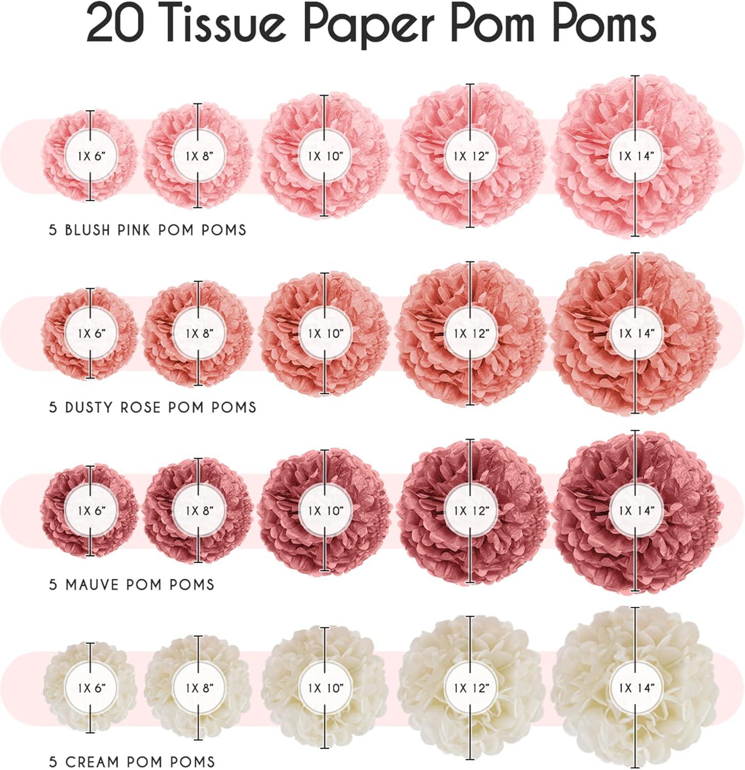 EpiqueOne 20 Piece Tissue Paper Pom Poms Party Kit - Colorful Paper Flower Wall Decorations